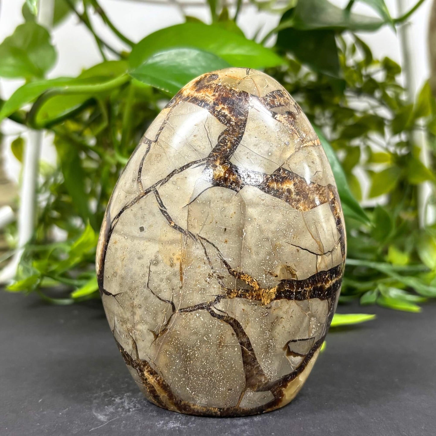 Natural Septarian Self-Standing Freeform Rock Polished Healing Stone for Home Décor-RPS464