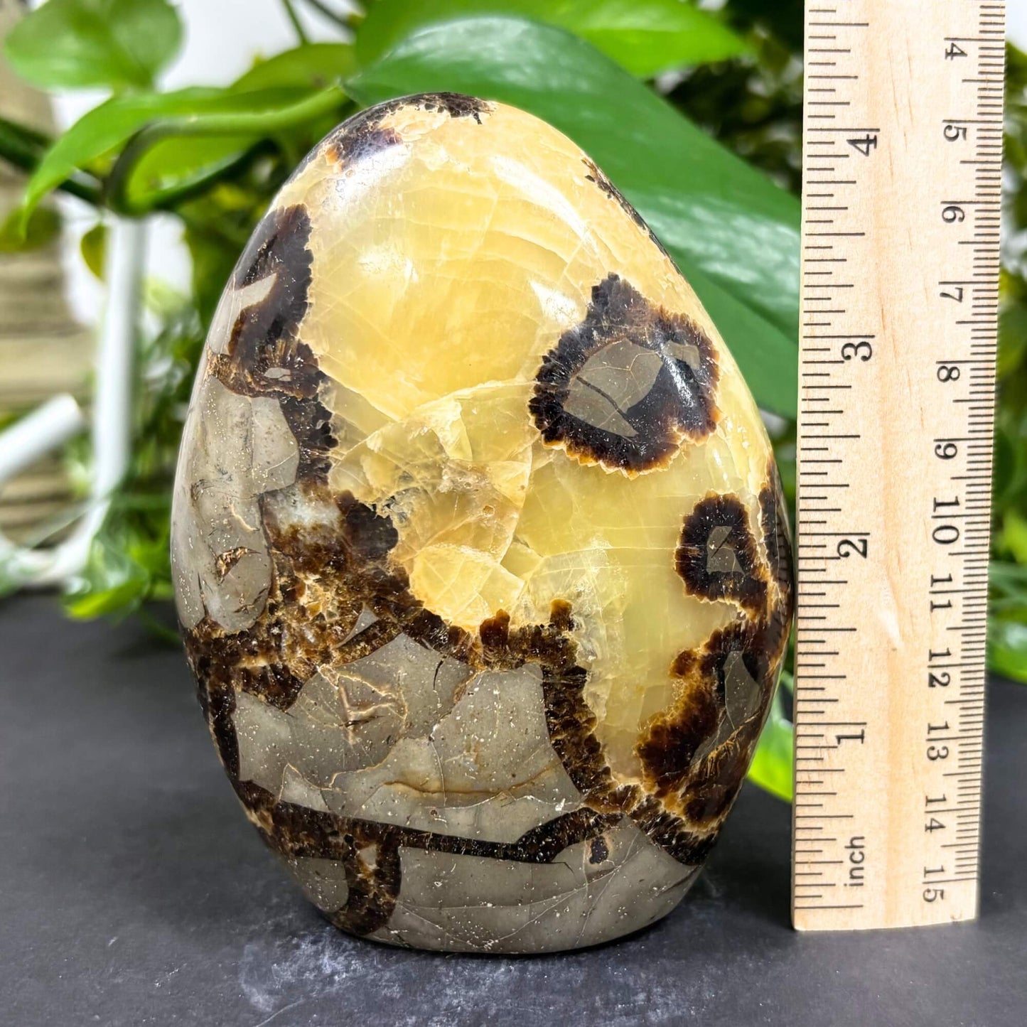 Natural Septarian Self-Standing Freeform Rock Polished Healing Stone for Home Décor-RPS464