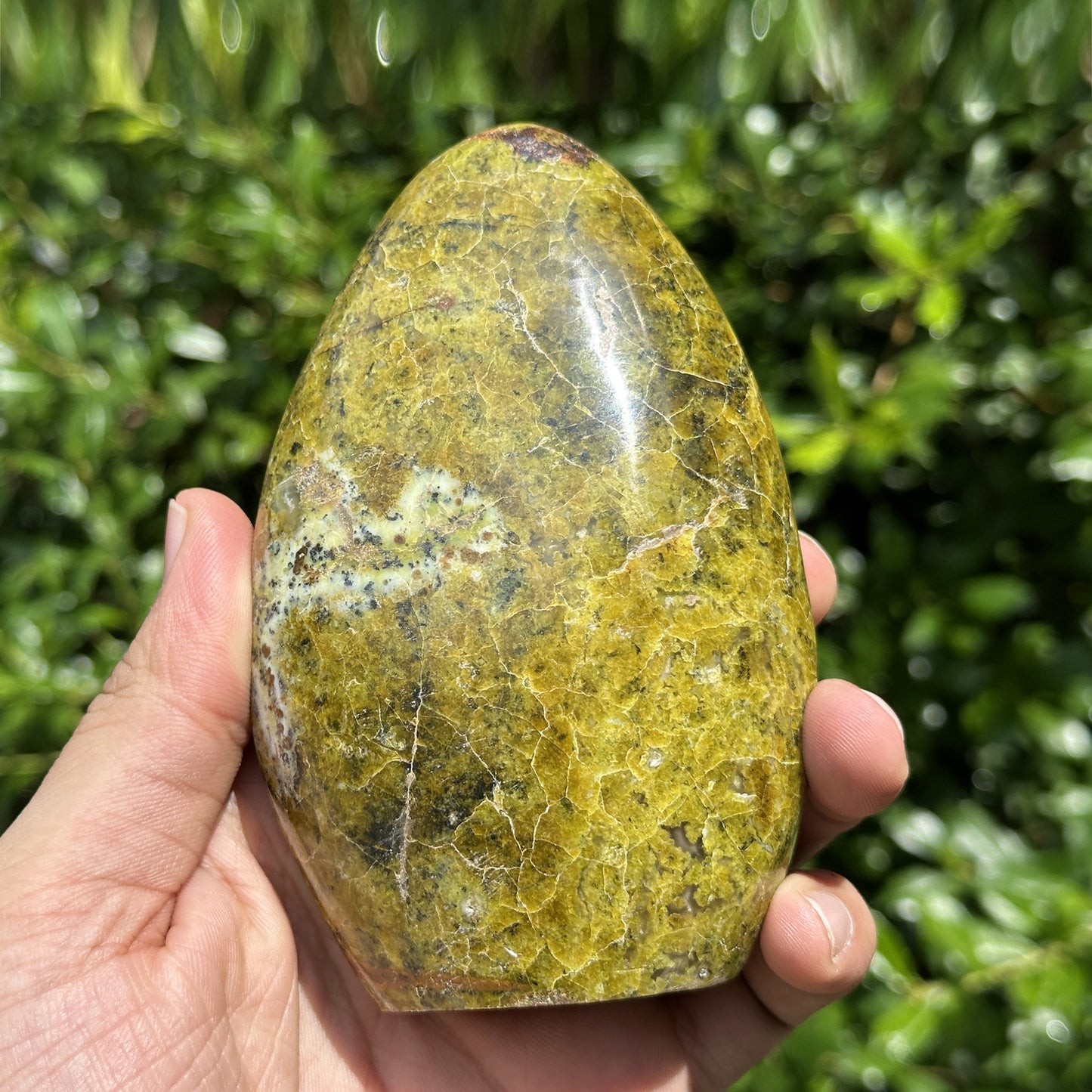 4.75 Inches Natural Self-Standing Polished Green Opal Freeform from Madagaskar