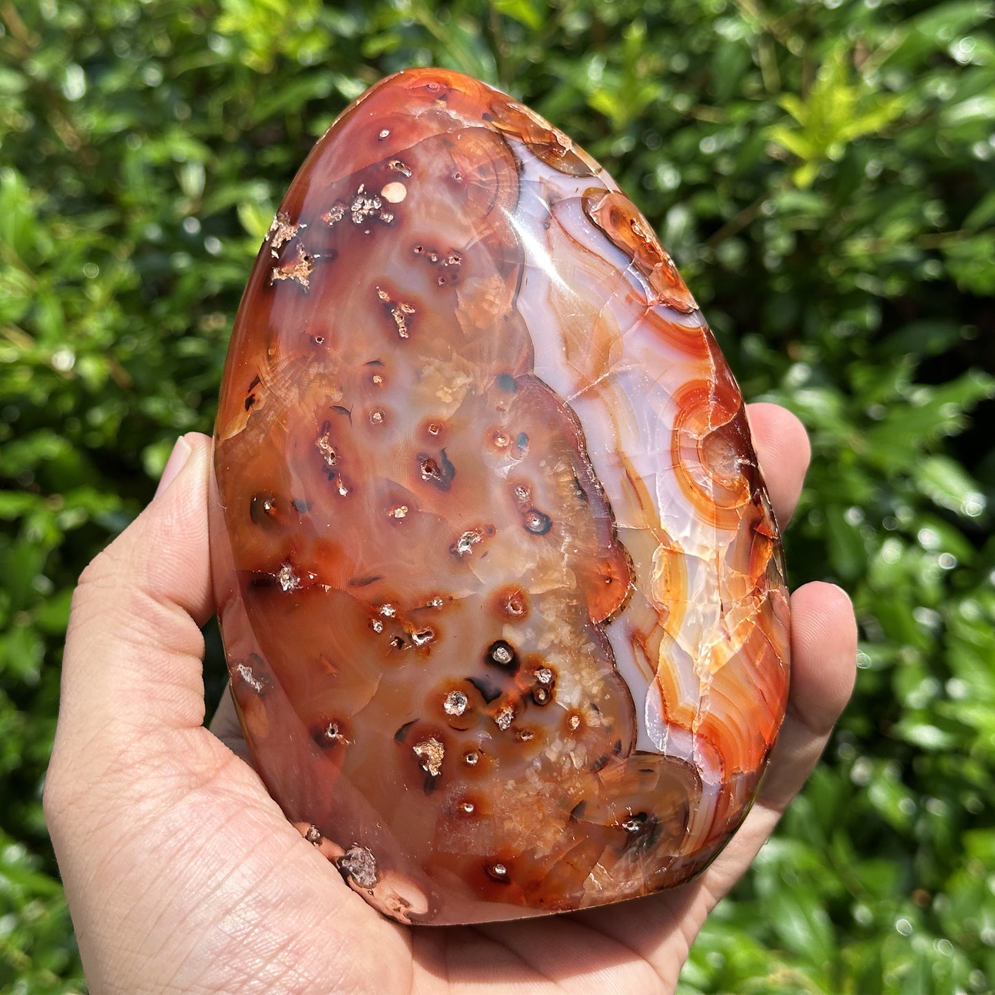 Natural Self- Standing Carnelian Freeform - Gem Avenue