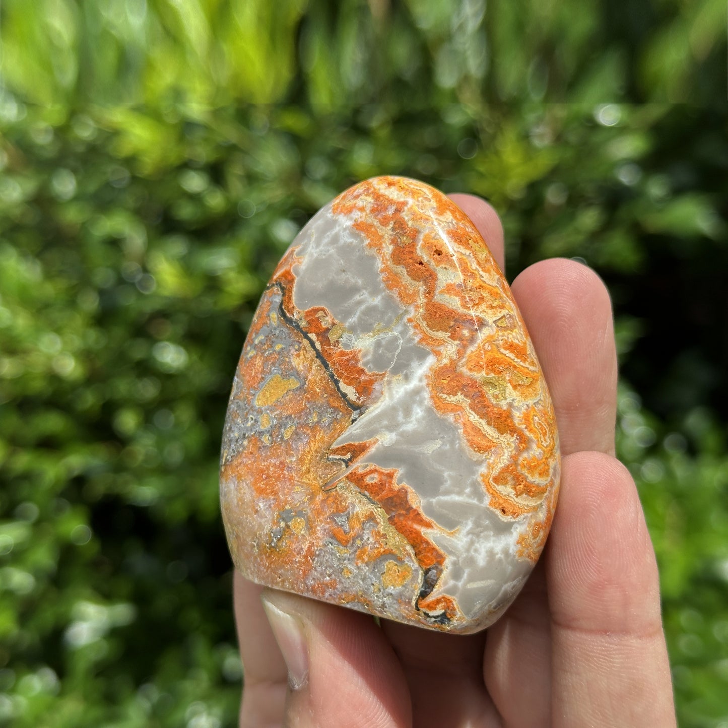 Natural Self-Standing Polished Bumble Bee Jasper Freeform - Gem Avenue