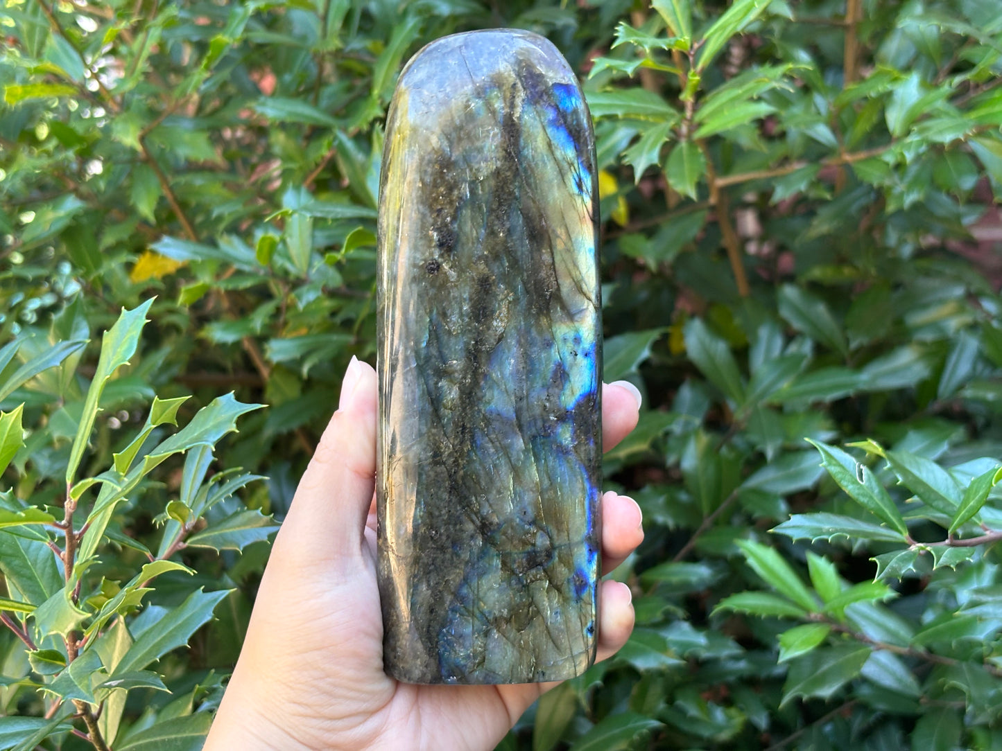 Natural Polished Labradorite Freeform Crystal with Blue and Gold Flash for Healing, Meditation & Home Decor - RPS504