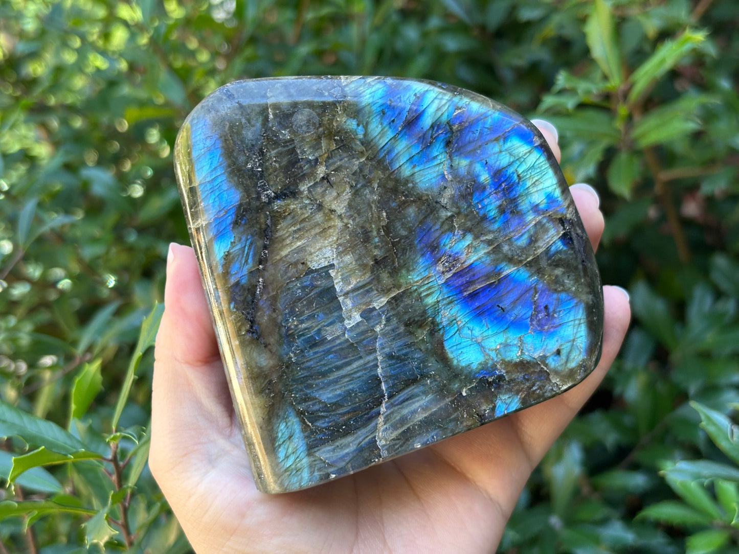 Natural Polished Labradorite Freeform Crystal with Vibrant Blue and Gold Flash Healing Stone for Meditation, Focus, and Home Decor Display - RPS505