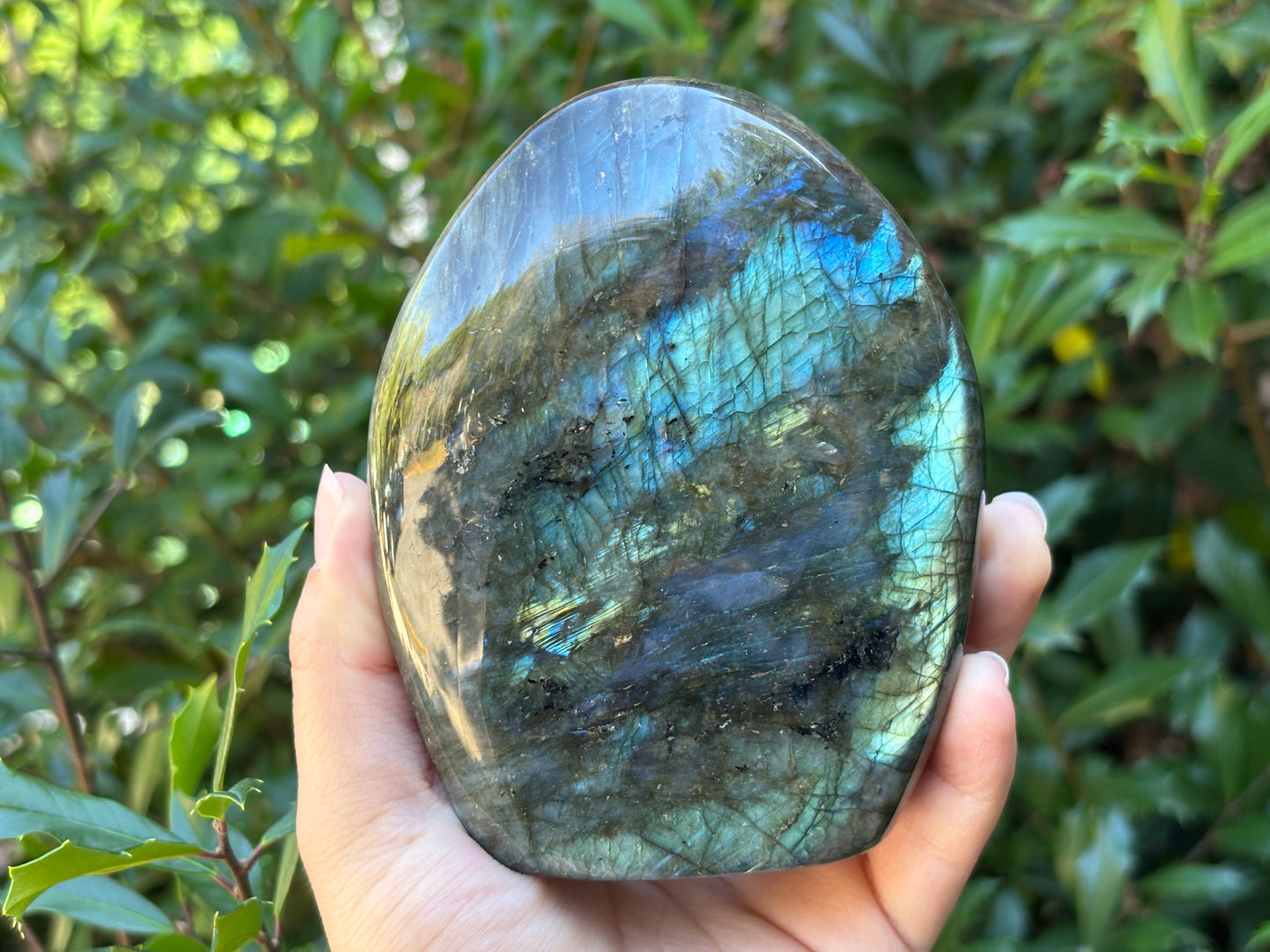 Natural Polished Labradorite Freeform Crystal with Blue and Gold Flash Healing Stone for Meditation, Focus, and Elegant Home Decor - RPS506