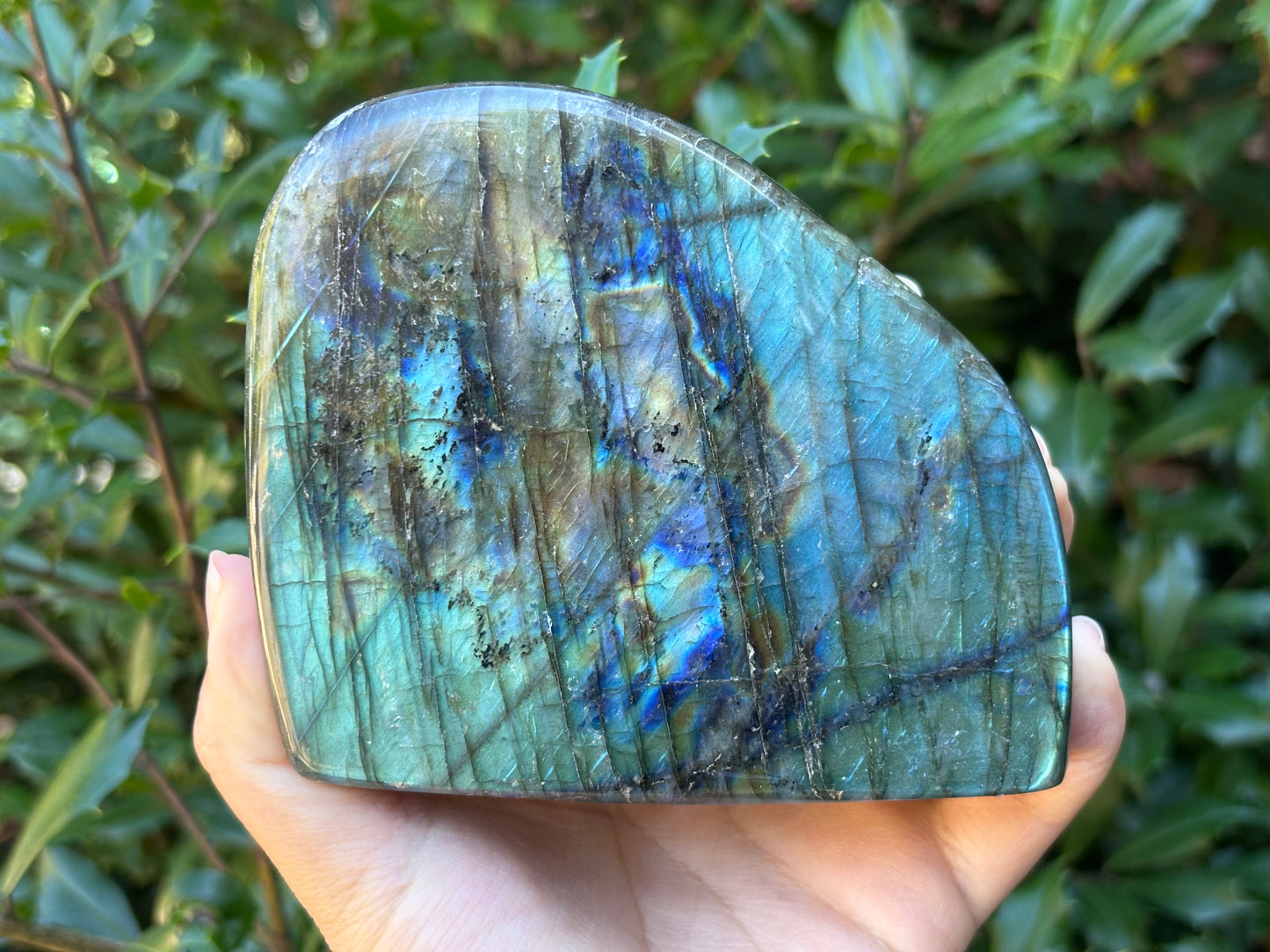 Polished Labradorite Display Stone Natural Gemstone with Stunning Blue Flash for Energy Healing, and Modern Home Decoration - RPS507