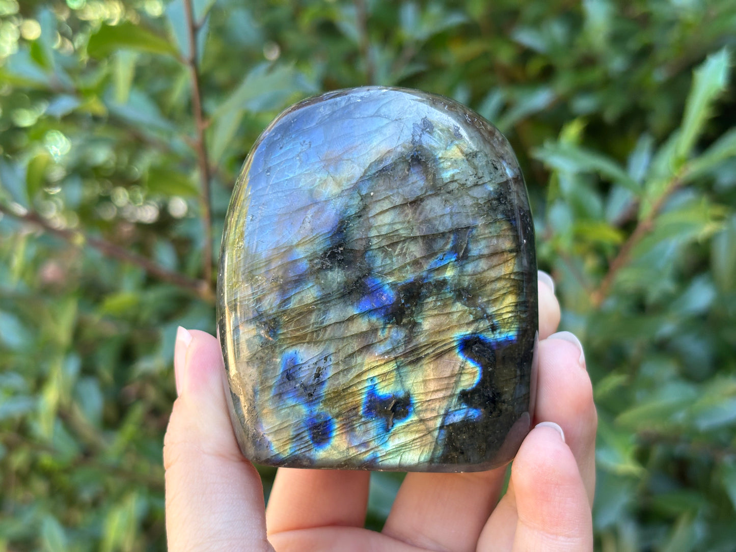 Natural Labradorite Freeform Polished Crystal with Blue & Gold Flash Healing Stone for Meditation, and Home Decor - RPS508