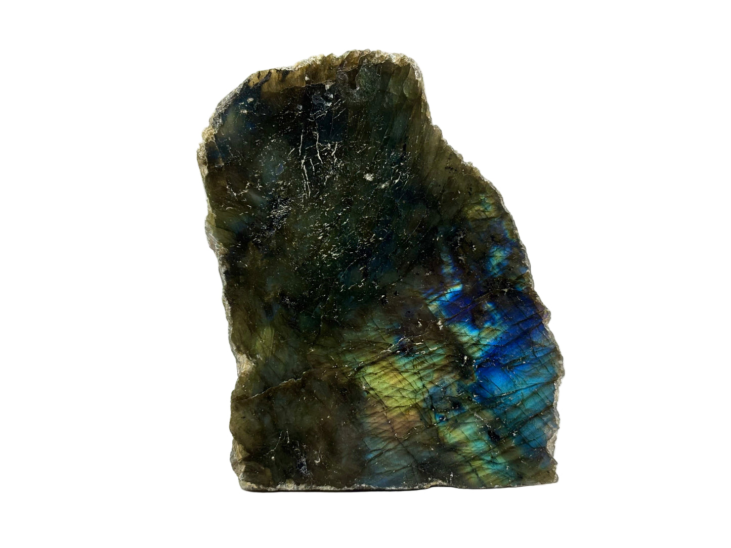 Natural Polished Labradorite Freeform Crystal with Blue & Gold Flash for Healing, Meditation, and Home Decor - RPS509