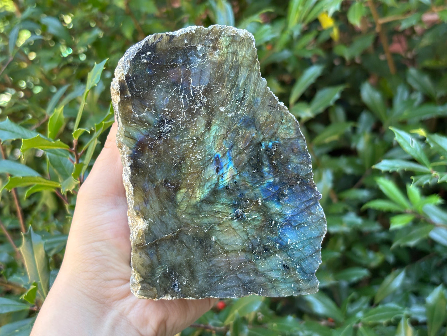 Natural Polished Labradorite Freeform Crystal with Blue & Gold Flash for Healing, Meditation, and Home Decor - RPS509