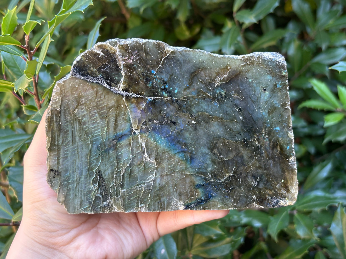 Natural Polished Labradorite Freeform Crystal with Blue & Gold Flash for Healing, Meditation & Home Decor - RPS510
