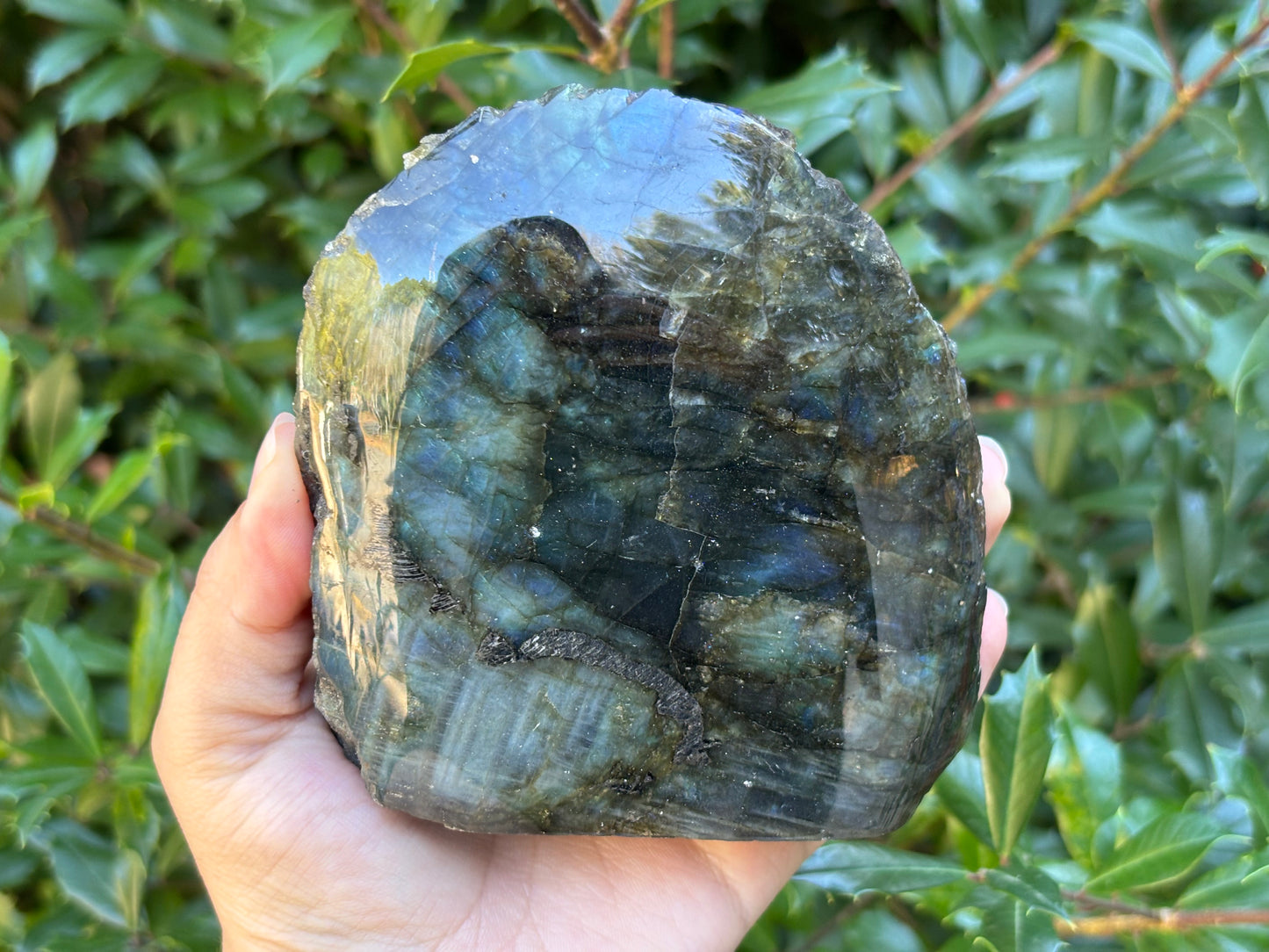 Natural Polished Labradorite Freeform Crystal with Blue & Gold Flash for Healing, Meditation, and Home Decor - RPS511