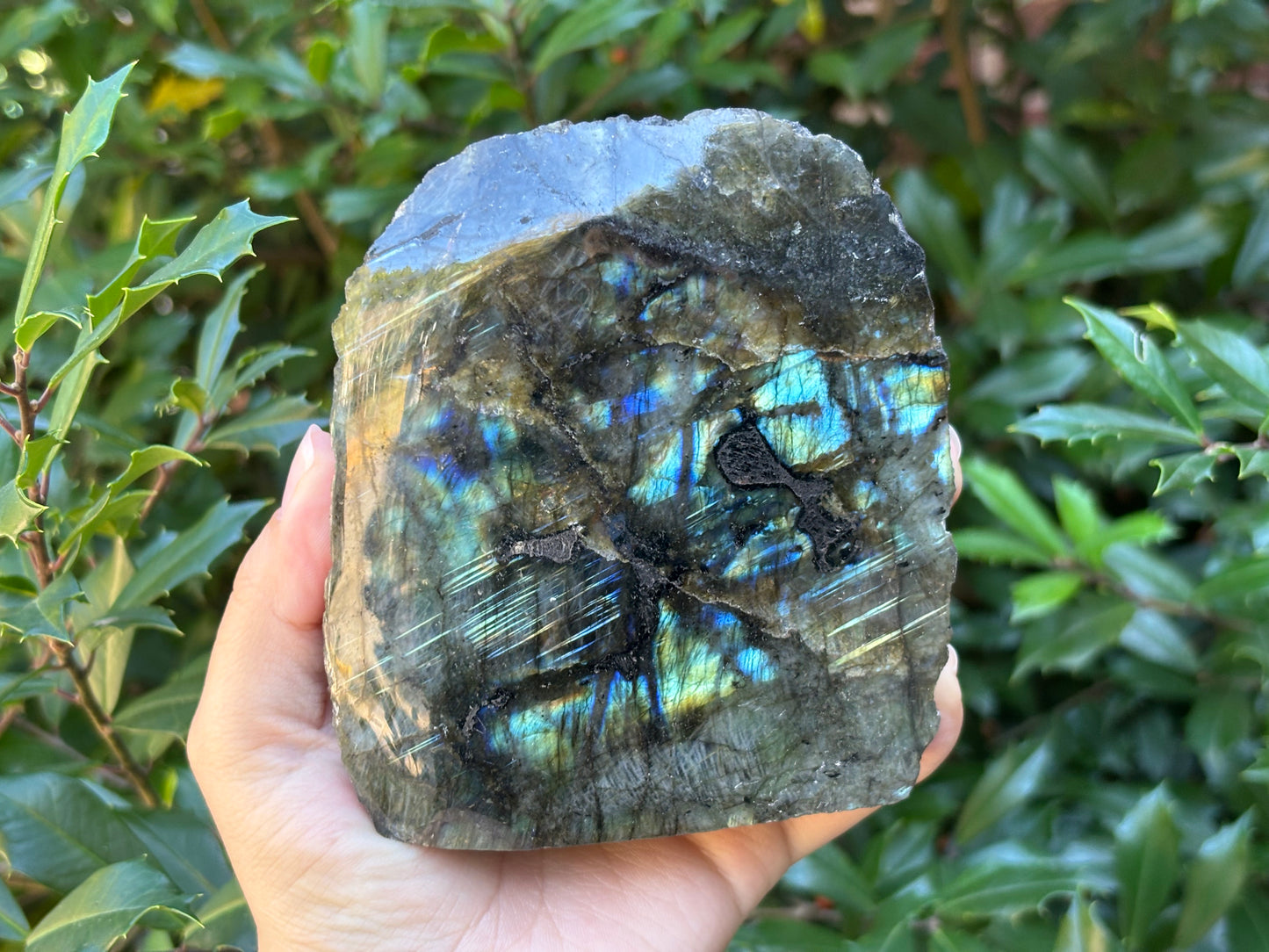 Natural Polished Labradorite Freeform Crystal with Blue & Gold Flash for Healing, Meditation, and Home Decor - RPS512