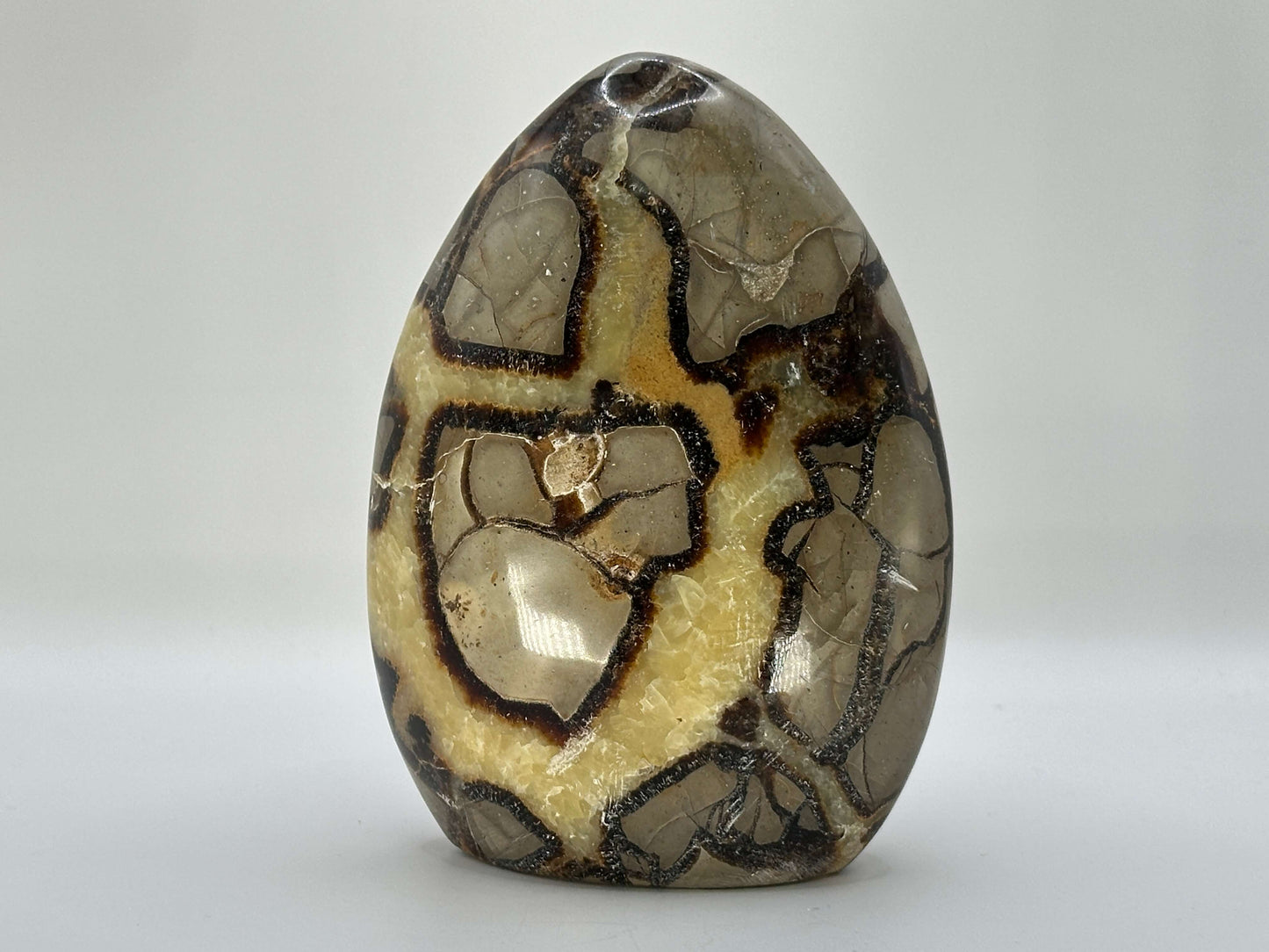 Natural Polished Septarian Crystal Freeform - Gem Avenue