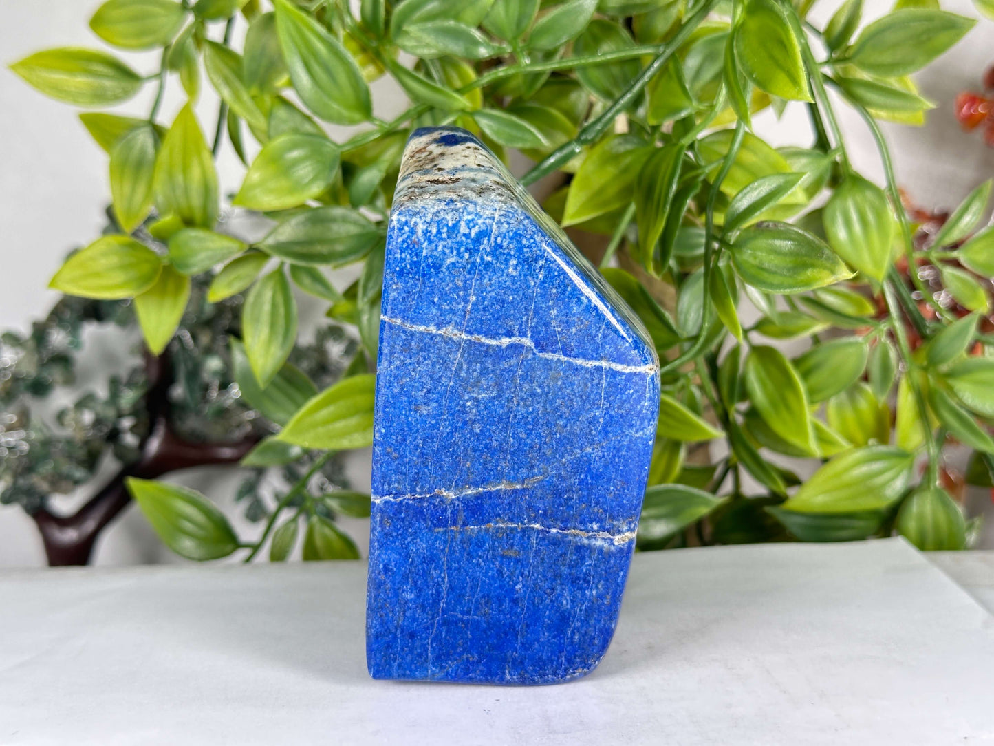 Natural Lapis Lazuli Polished Freeform Stone Deep Blue Crystal Decor - RPS537