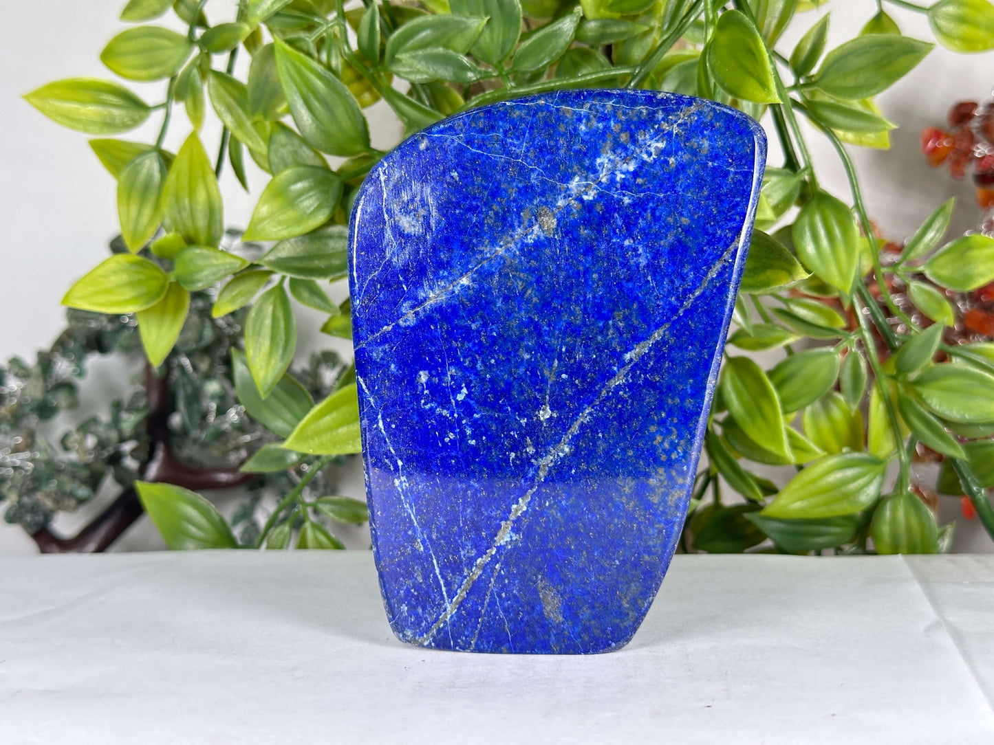 Natural Lapis Lazuli Polished Freeform Stone Premium Deep Blue Crystal Decor - RPS539