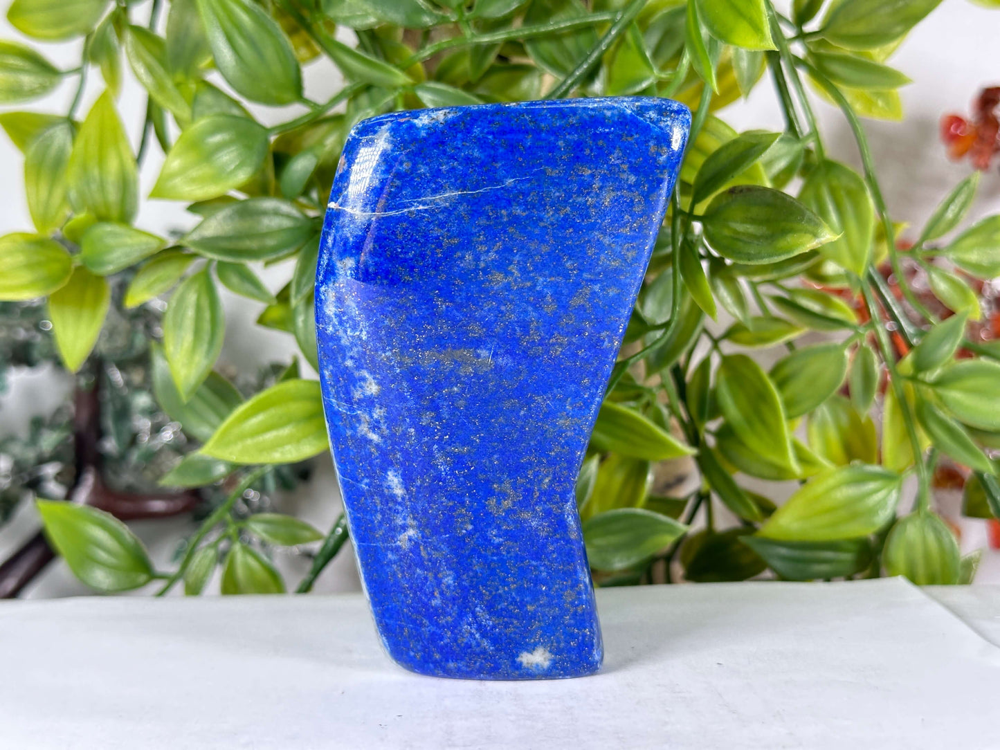 Natural Lapis Lazuli Polished Freeform Stone Deep Blue Crystal for Home Decor & Healing - RPS545