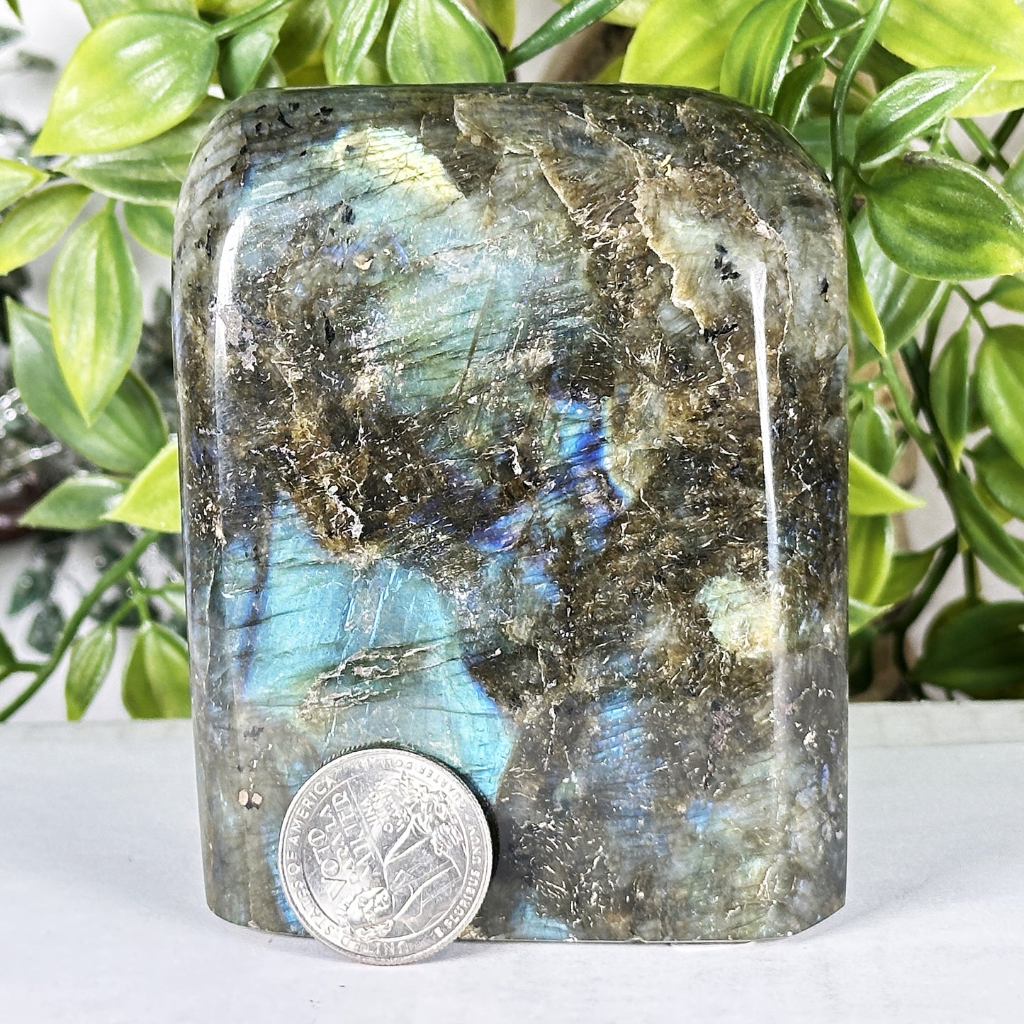 Labradorite Crystal Freeform - Gem Avenue