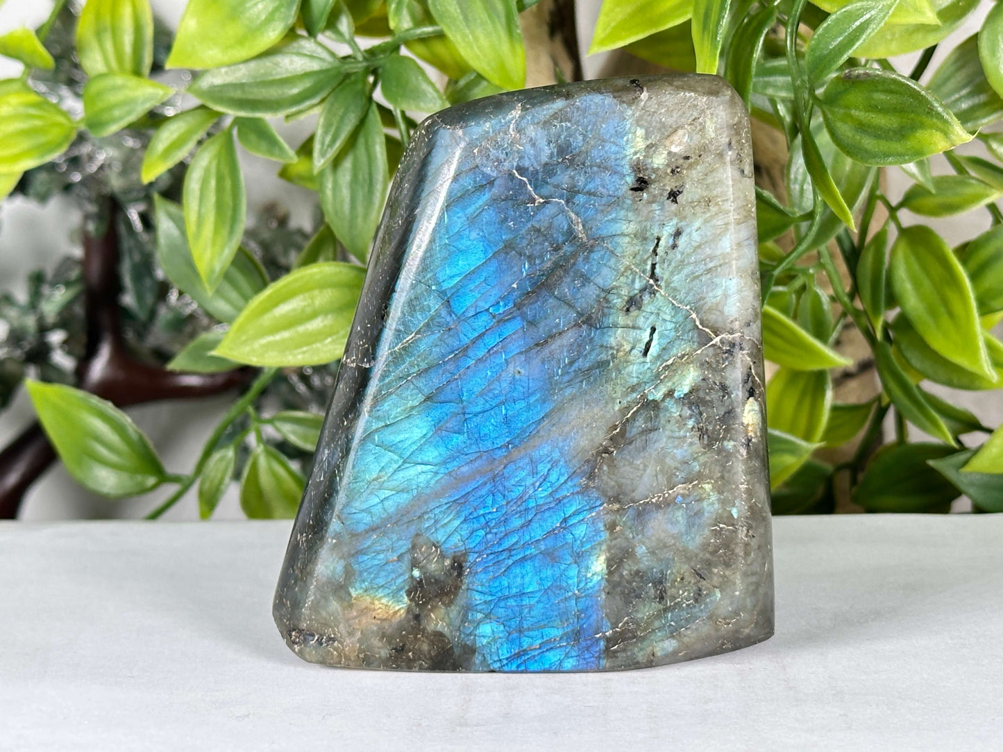 Natural Labradorite Freeform Stone Polished Display Specimen - RPS554