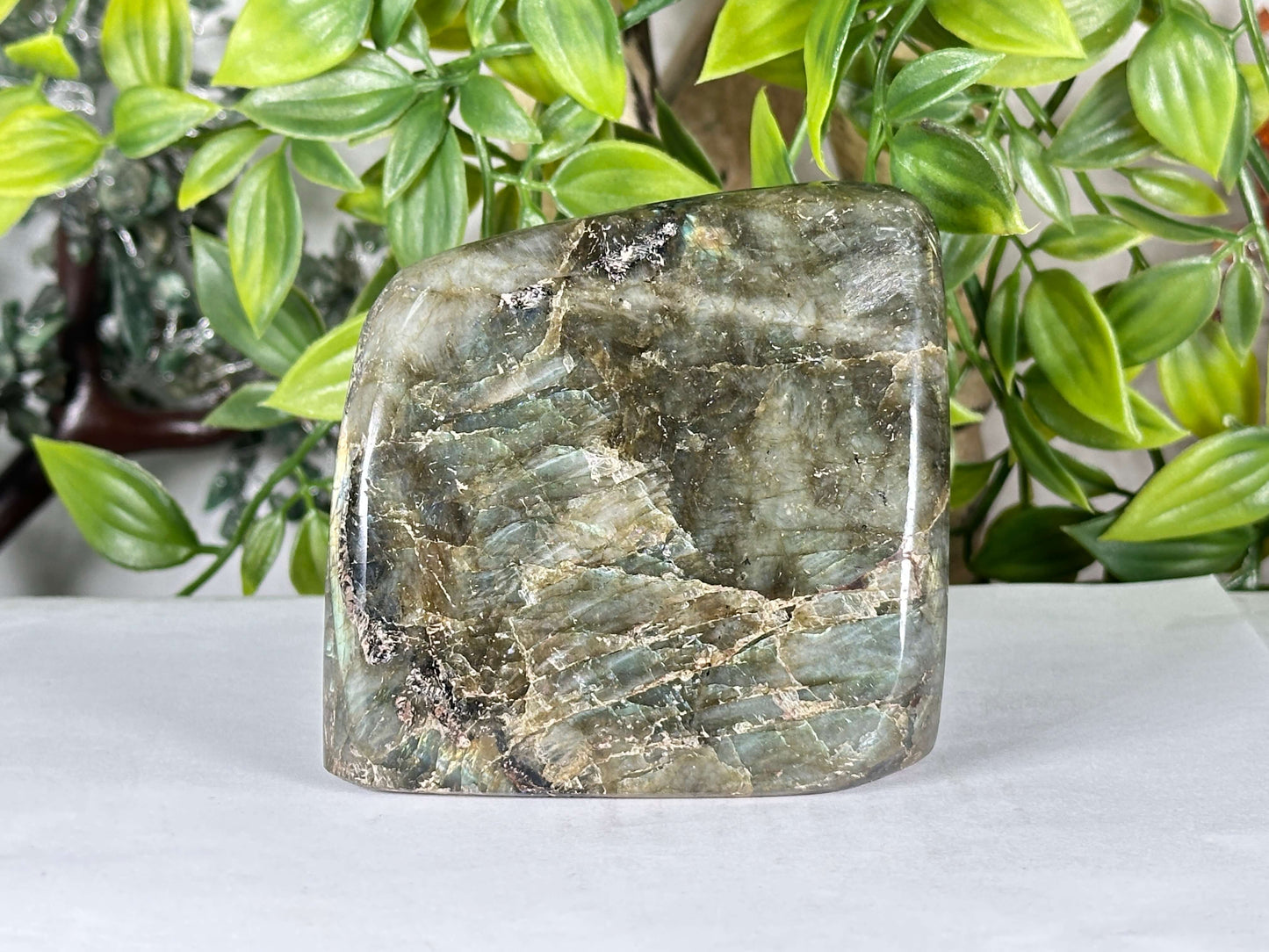 Natural Labradorite Polished Freeform Madagascar Flash Crystal Display Stone - RPS555