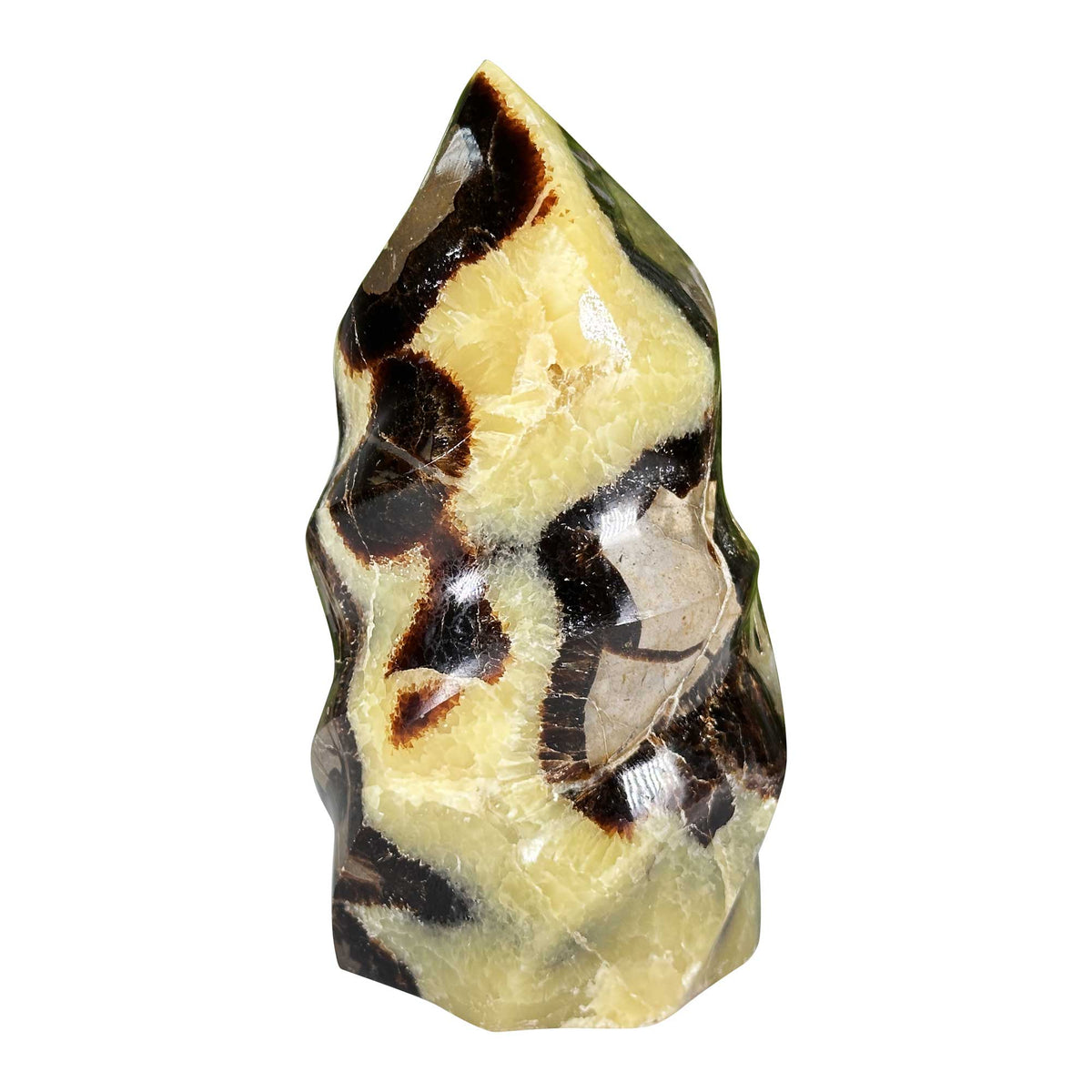 Septarian Crystal Freeform - Gem Avenue Retail