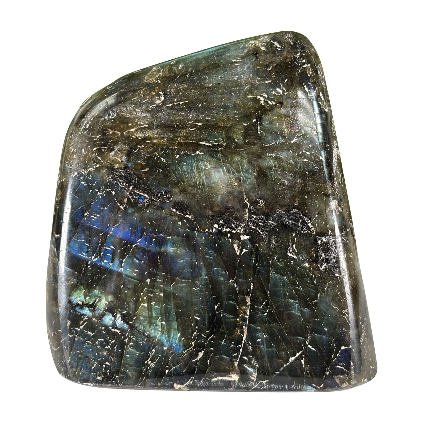 Polished Labradorite Freeform 3" Flashy Blue Fire Madagascar Crystal Display Specimen