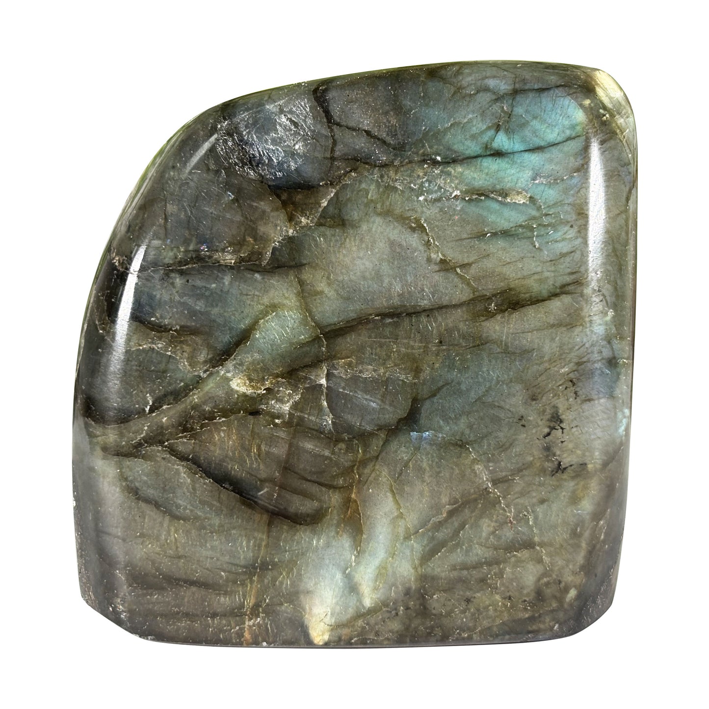 Polished Labradorite Freeform 2.75" Blue Flash Madagascar Crystal Display Specimen