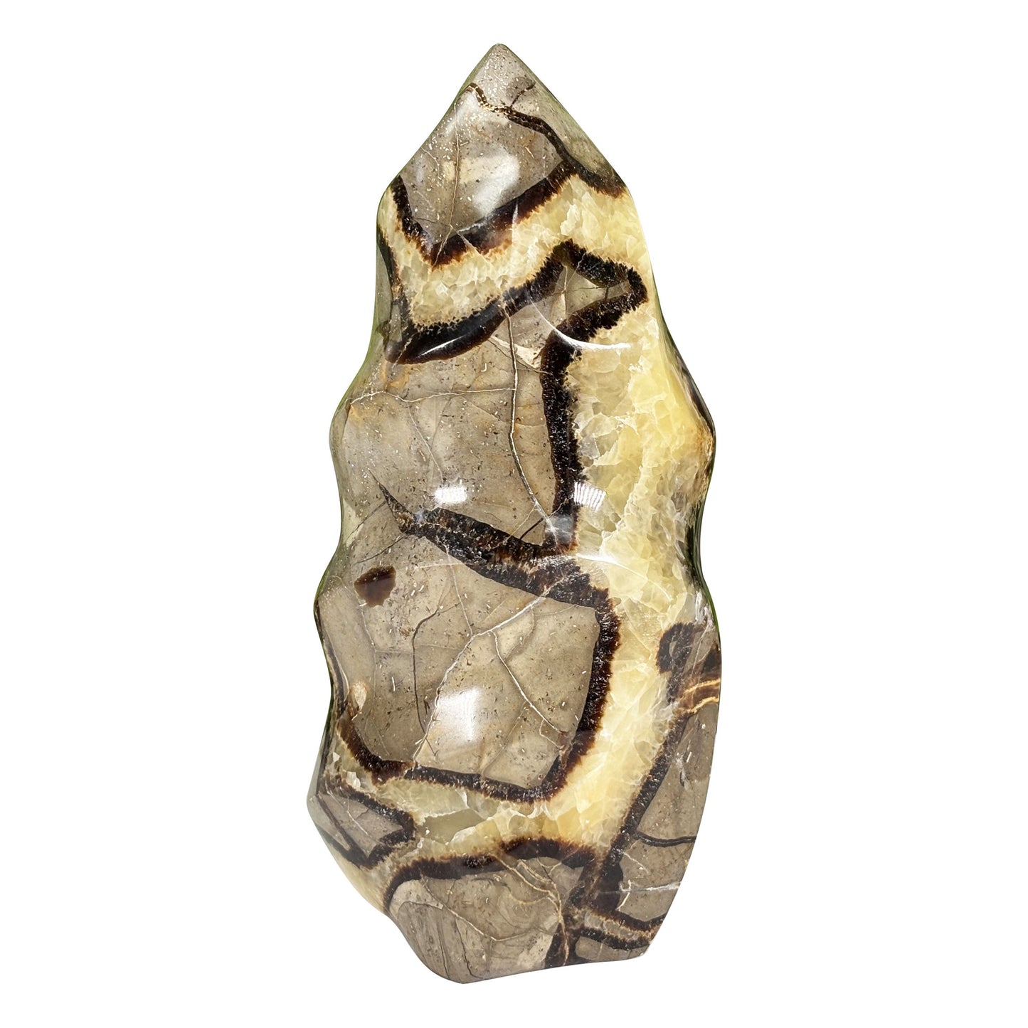 Septarian Crystal Freeform - Gem Avenue Retail