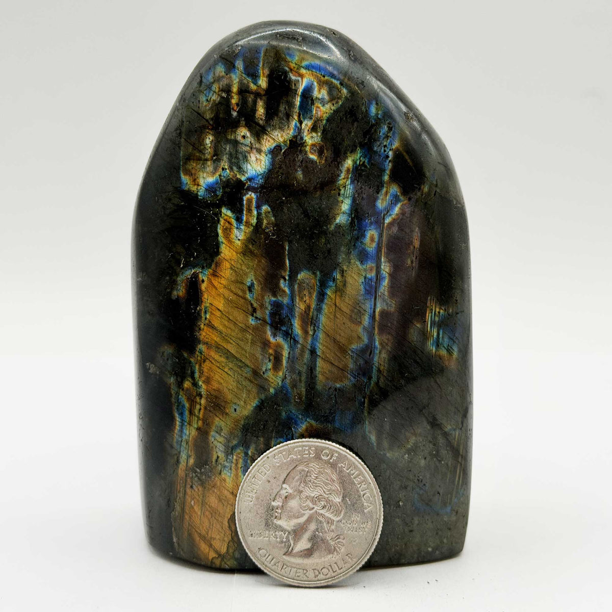 Labradorite Freeform 3.5" Natural Blue Flash Crystal Gemstone