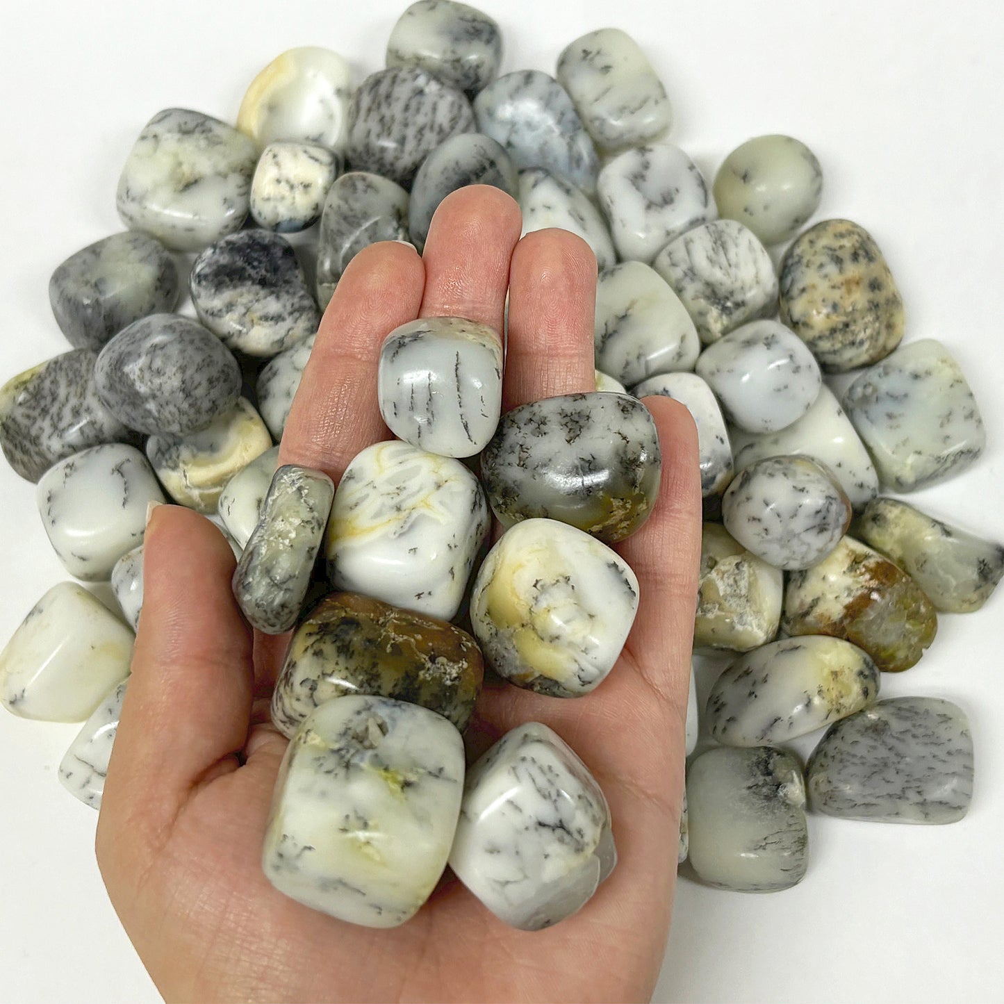 Polished Dendritic Agate Gemstone Tumbled Stone - Gem Avenue