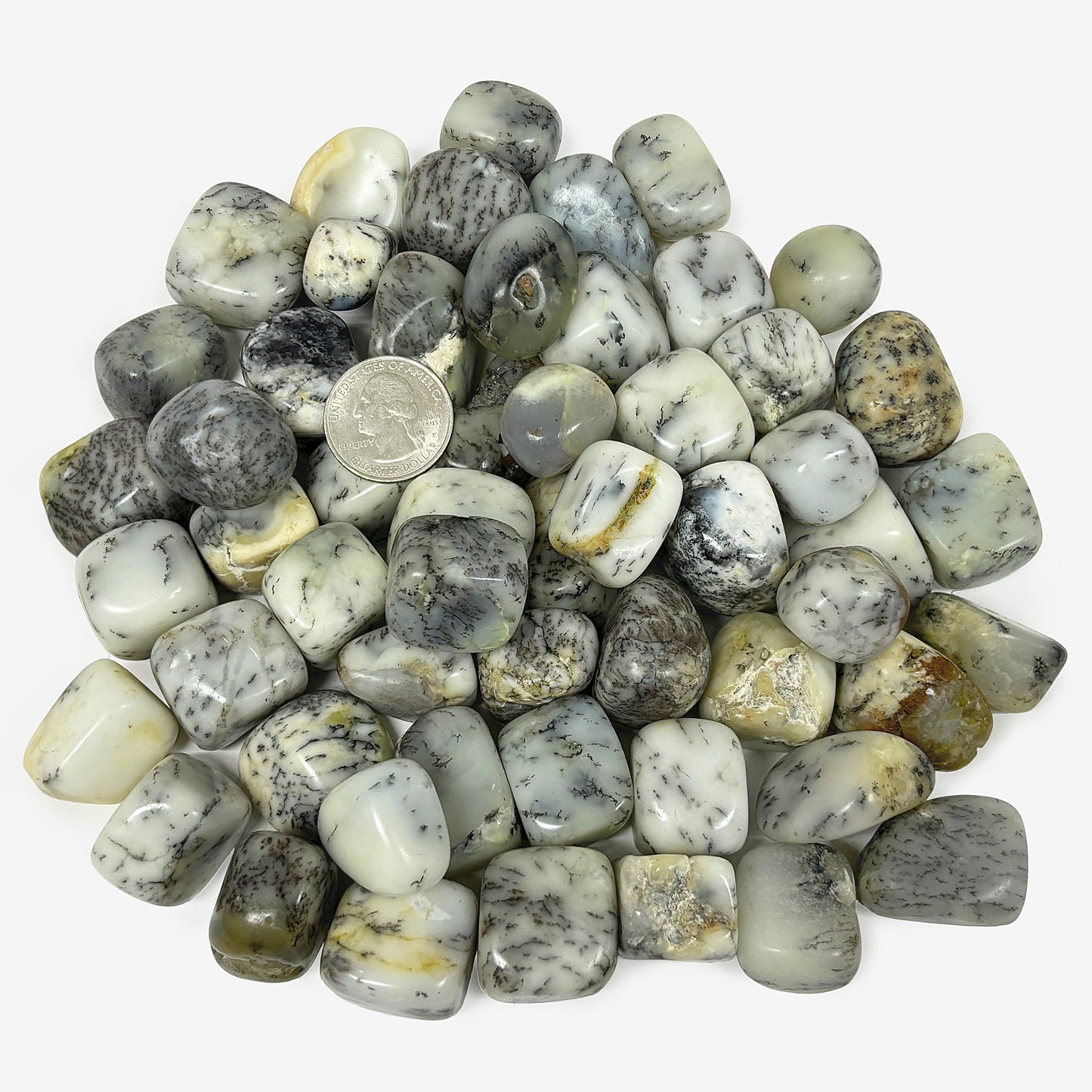 Polished Dendritic Agate Gemstone Tumbled Stone - Gem Avenue