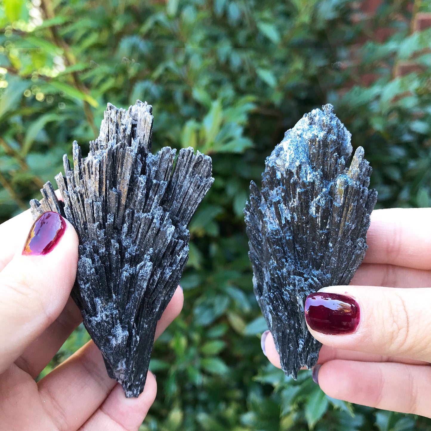 Natural Black Kyanite Blades – Raw Healing Crystals for Energy Clearing, Meditation & Spiritual Protection – Gemstone Blades for Grids & Crafts - RCR307
