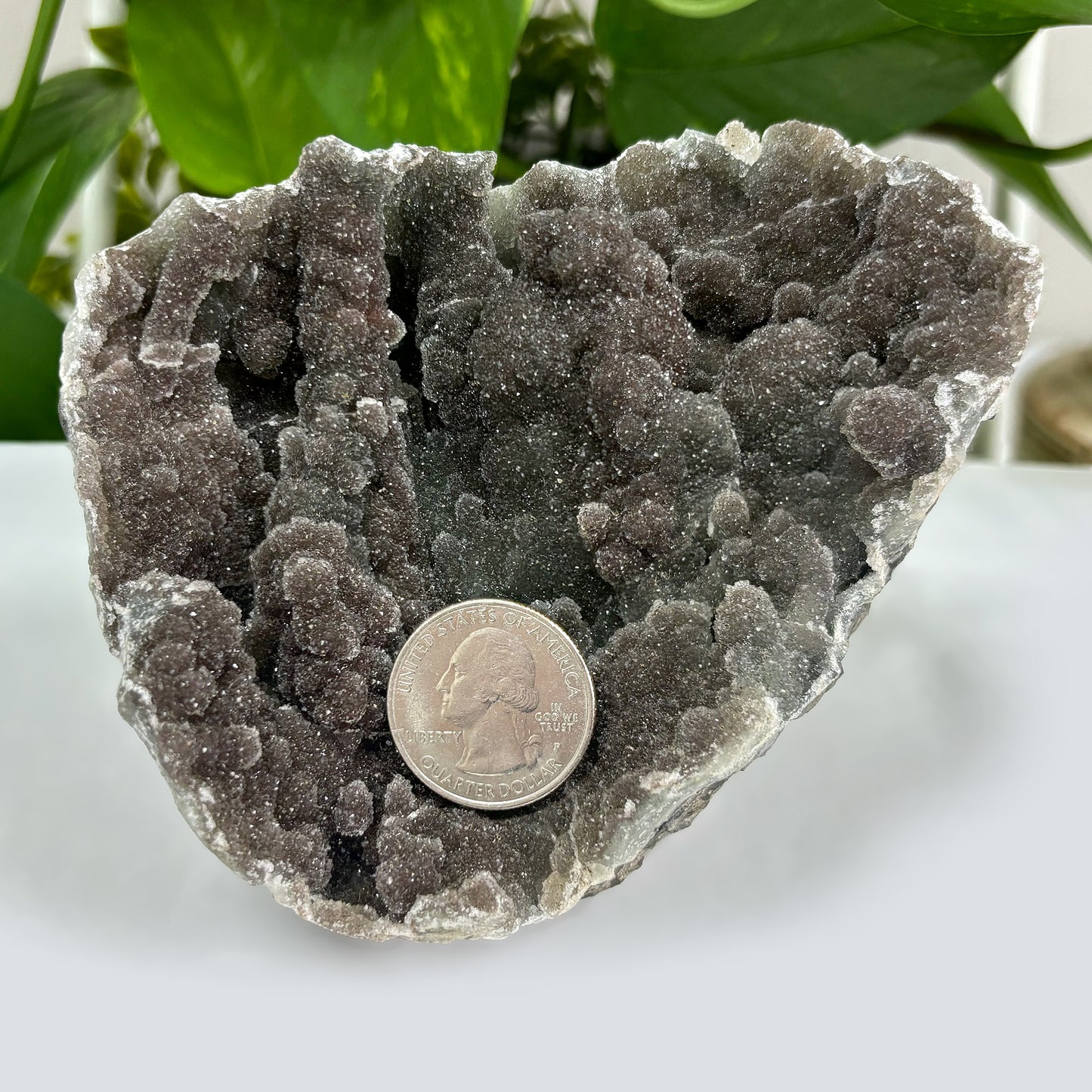 Natural Black Amethyst Gemstone Crystal Geode - Gem Avenue