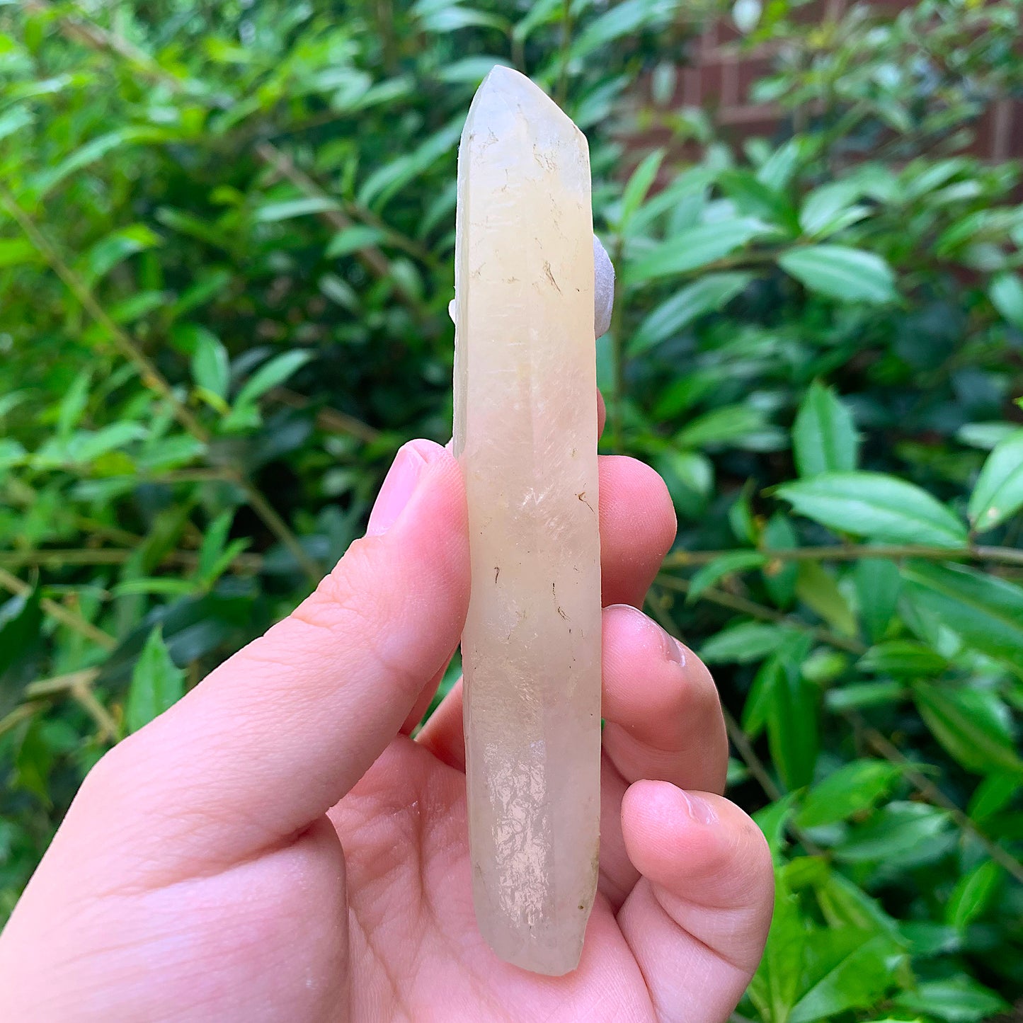 Natural Calcite Crystal Gemstone Mineral Specimen Home Decor - Gem Avenue