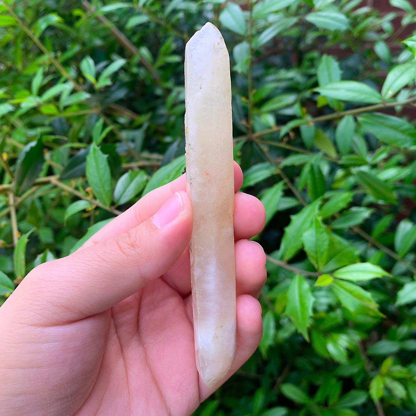 Natural Calcite Gemstone Crystal Collectible Mineral Specimen Home Decor - Gem Avenue