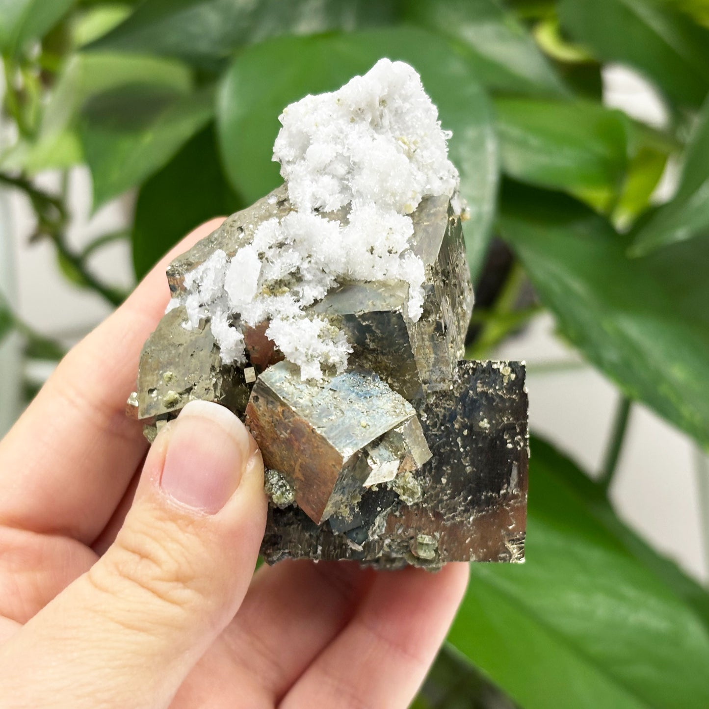 Pyrite Crystal Mineral Specimen - Gem Avenue