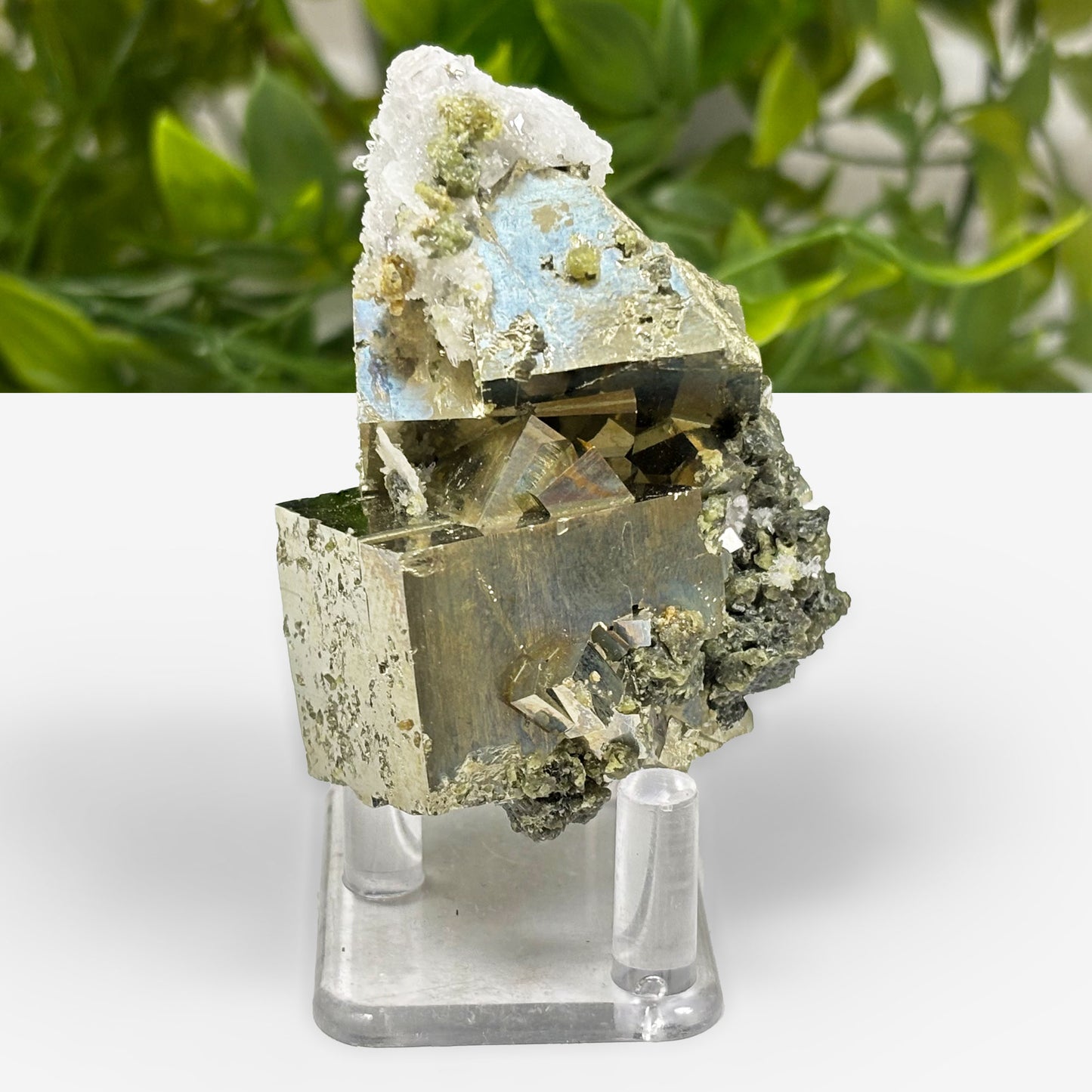 Pyrite Crystal Mineral Specimen - Gem Avenue