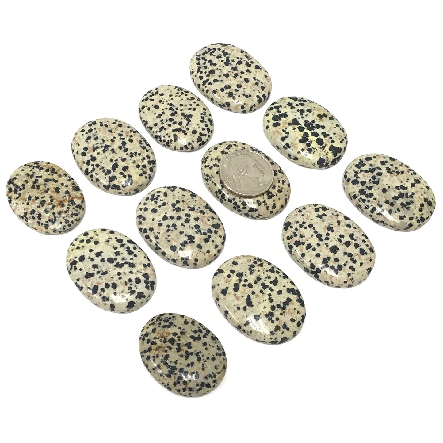 Dalmatian Jasper Worry Stone – Pocket Thumb Stone with Indent for Anxiety and Stress Relief – Polished Fidget Stone for Focus, Calming, Meditation, Grounding – Gift for Men & Women (1 Piece)