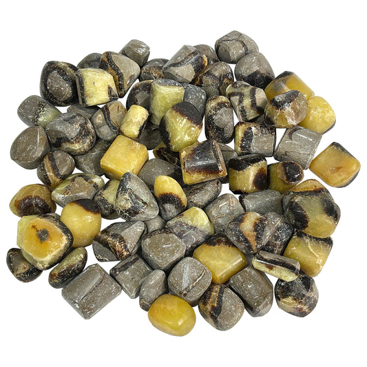 1 lb Polished Septarian Gemstone Tumbled Stones Healing Crystals Bulk