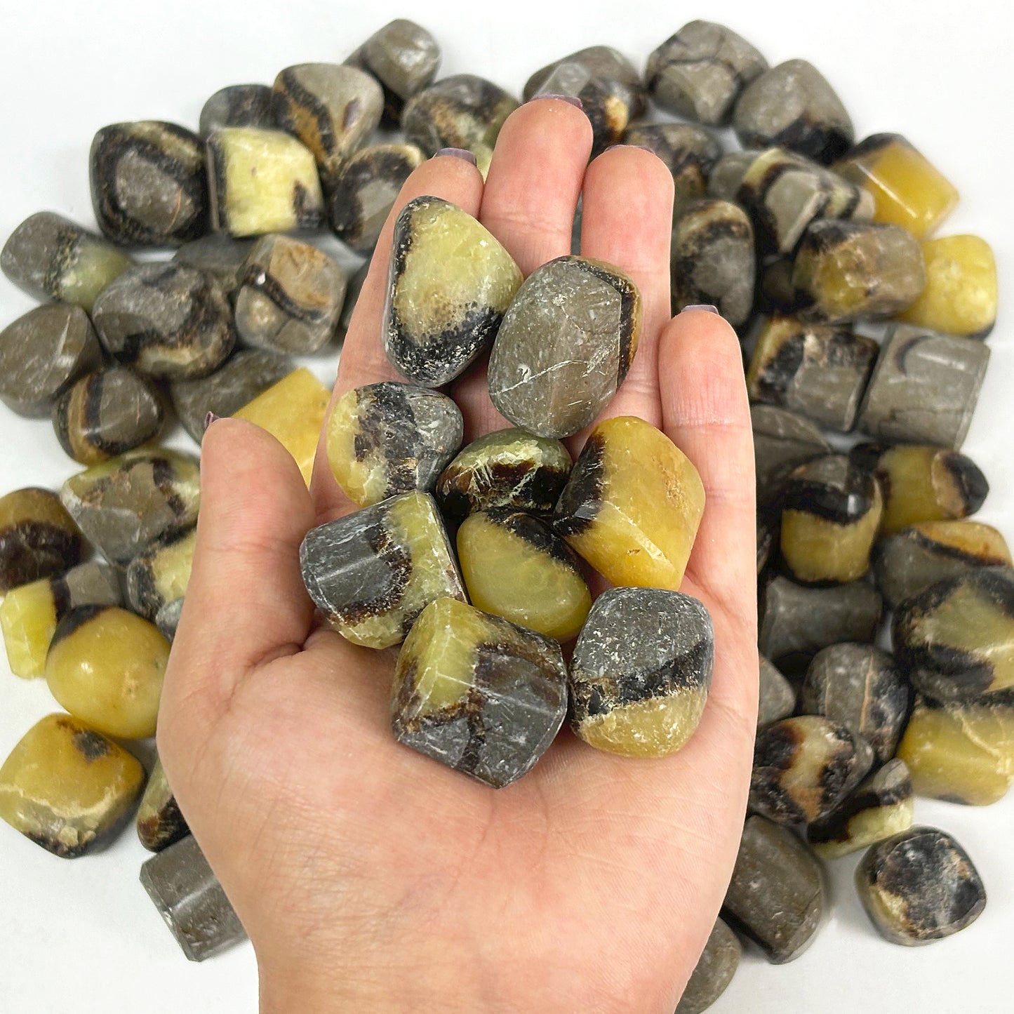 1 lb Polished Septarian Gemstone Tumbled Stones Healing Crystals Bulk