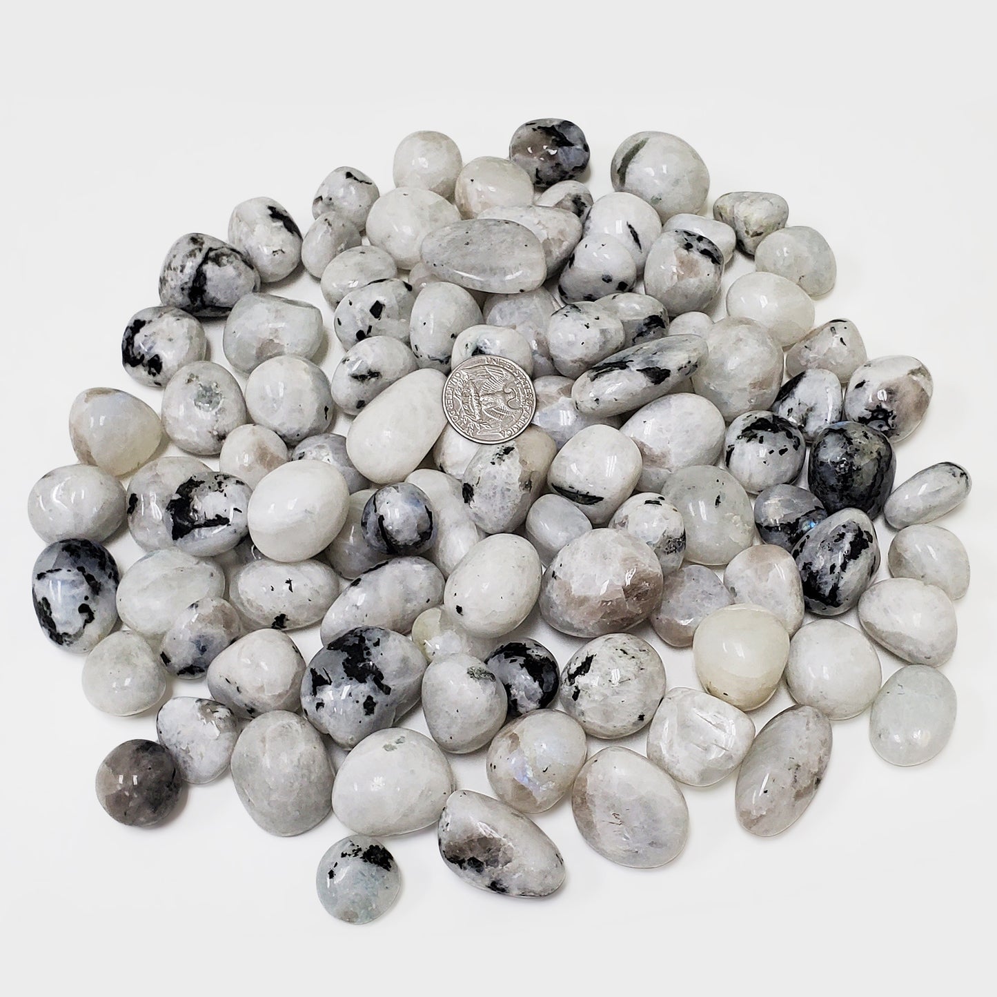 Rainbow Moonstone Tumbled Stone - Gem Avenue