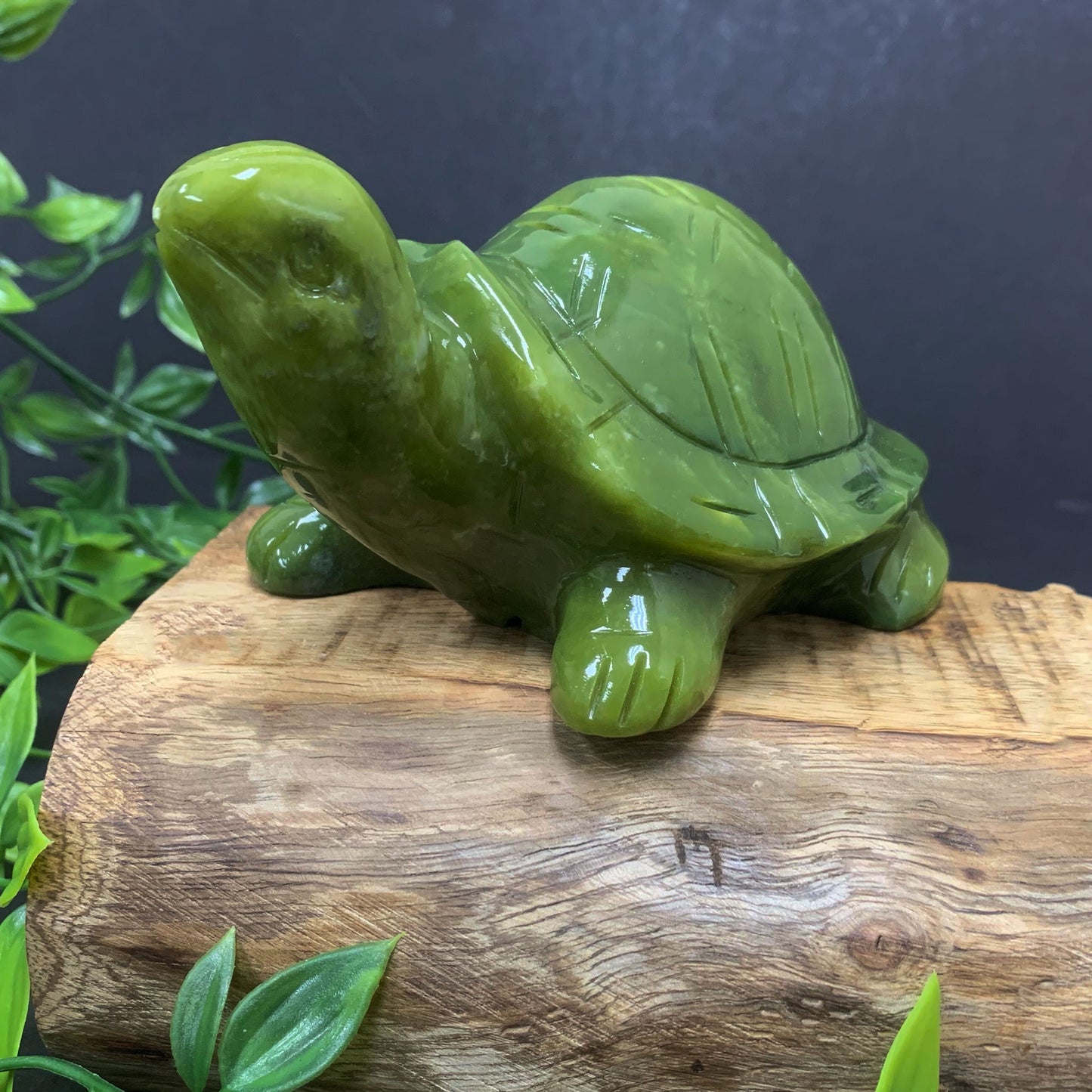 Natural Nephrite Turtle Jade Gemstone Figurine Animal Sculpture Home Decor - Gem Avenue
