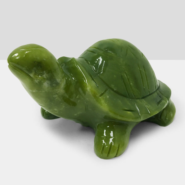 wickedafstore-turtle-solar-