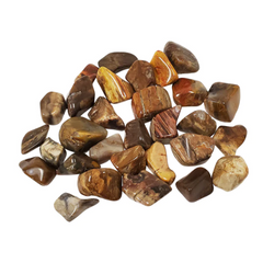 Petrified Wood