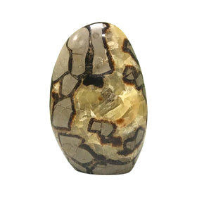 Septarian