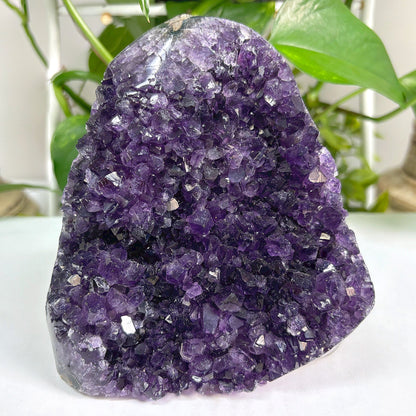 Amethyst Cut Base Geode Wholesale - Gem Avenue
