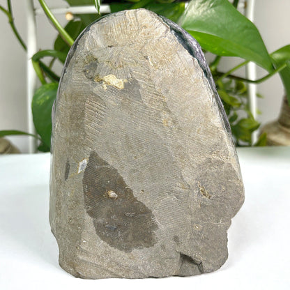 Amethyst Cut Base Geode Wholesale - Gem Avenue