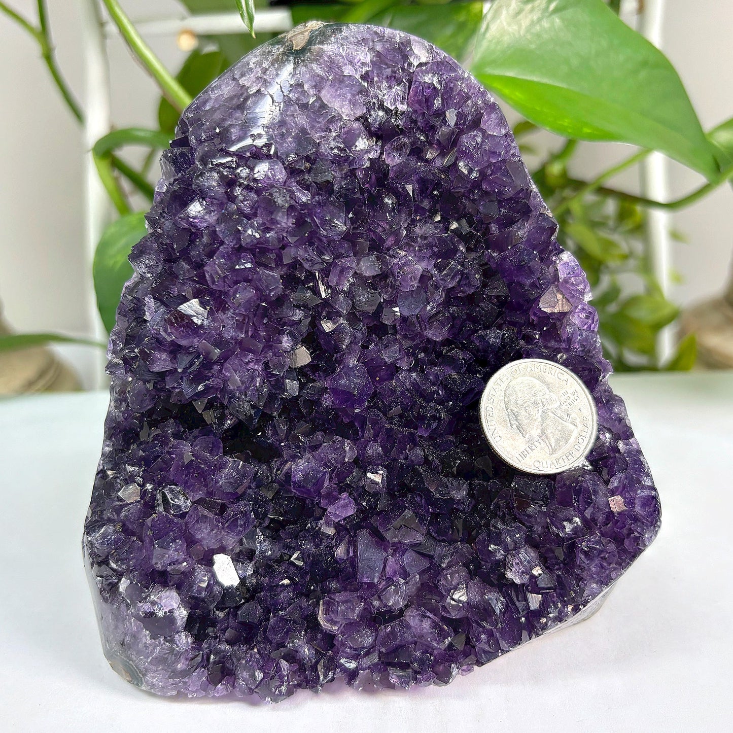 Amethyst Cut Base Geode Wholesale - Gem Avenue
