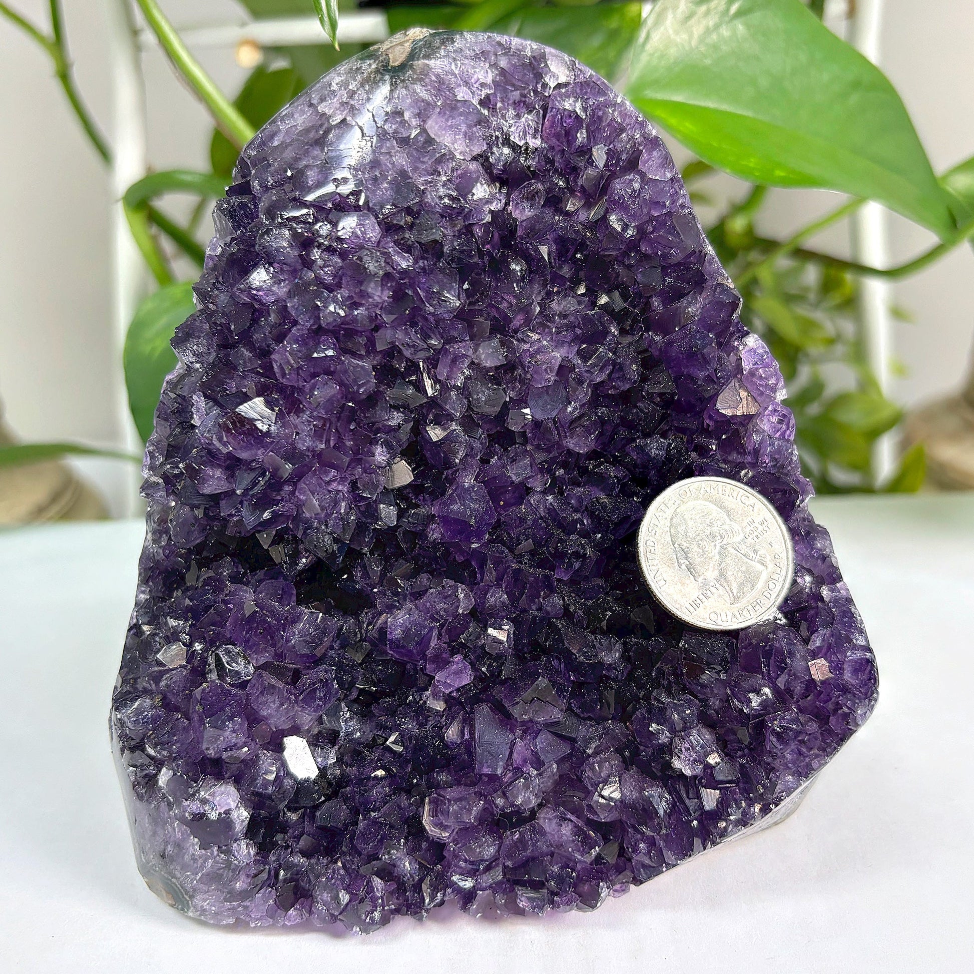 Amethyst Cut Base Geode Wholesale - Gem Avenue