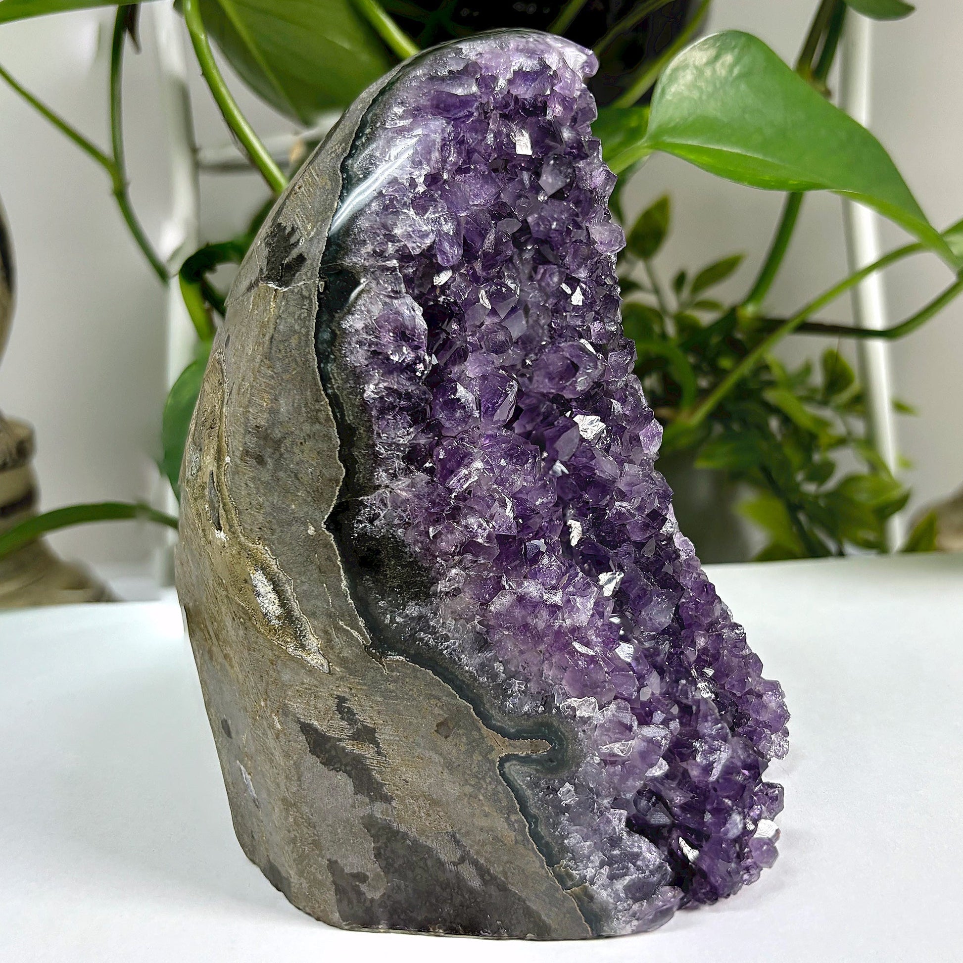 Amethyst Cut Base Geode Wholesale - Gem Avenue