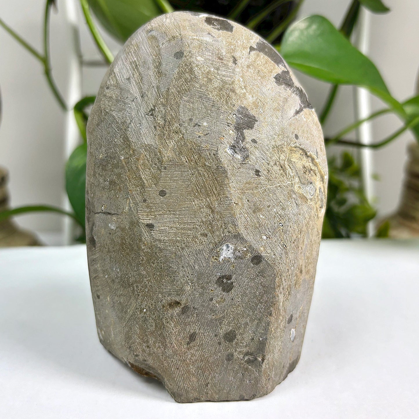 Amethyst Cut Base Geode Wholesale - Gem Avenue