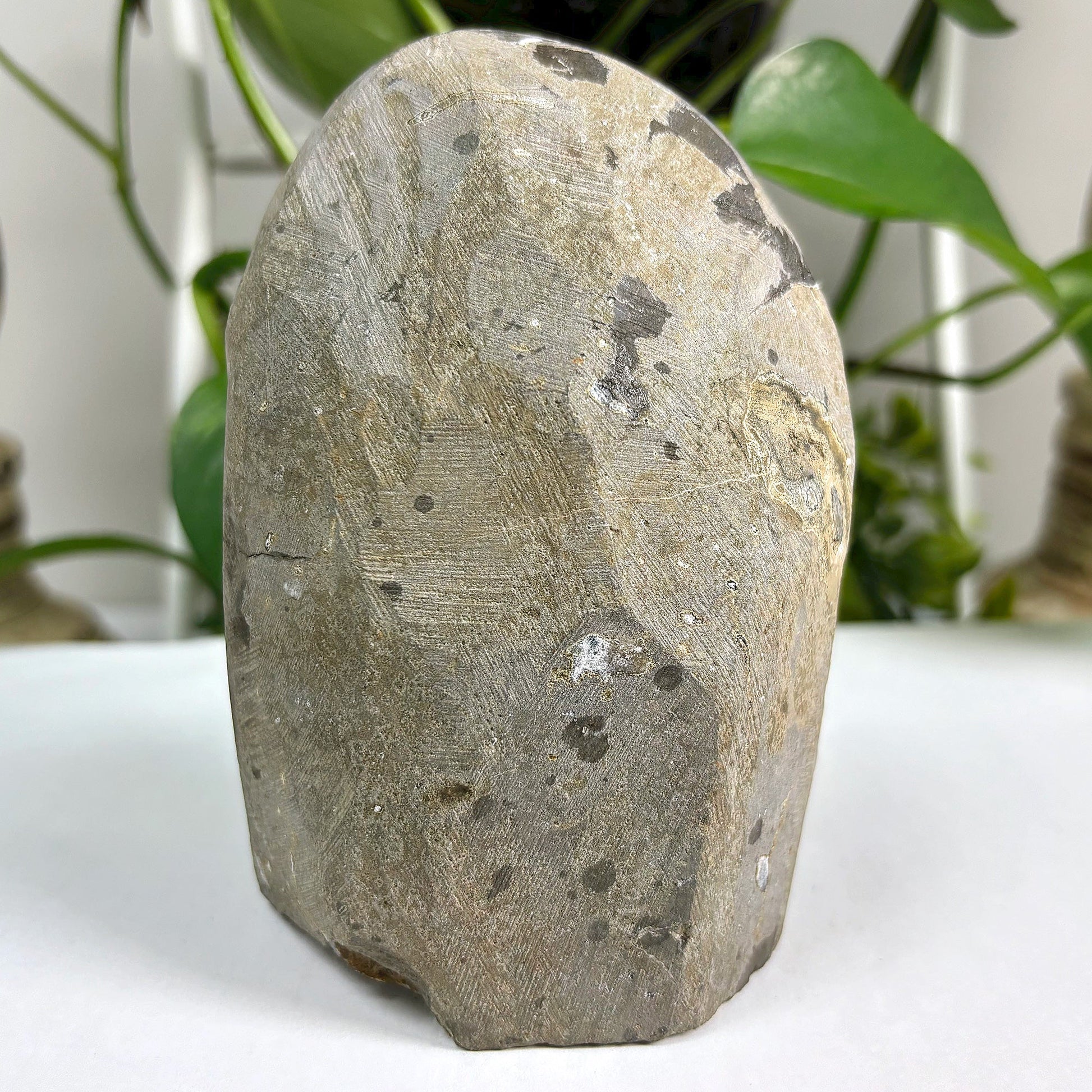 Amethyst Cut Base Geode Wholesale - Gem Avenue
